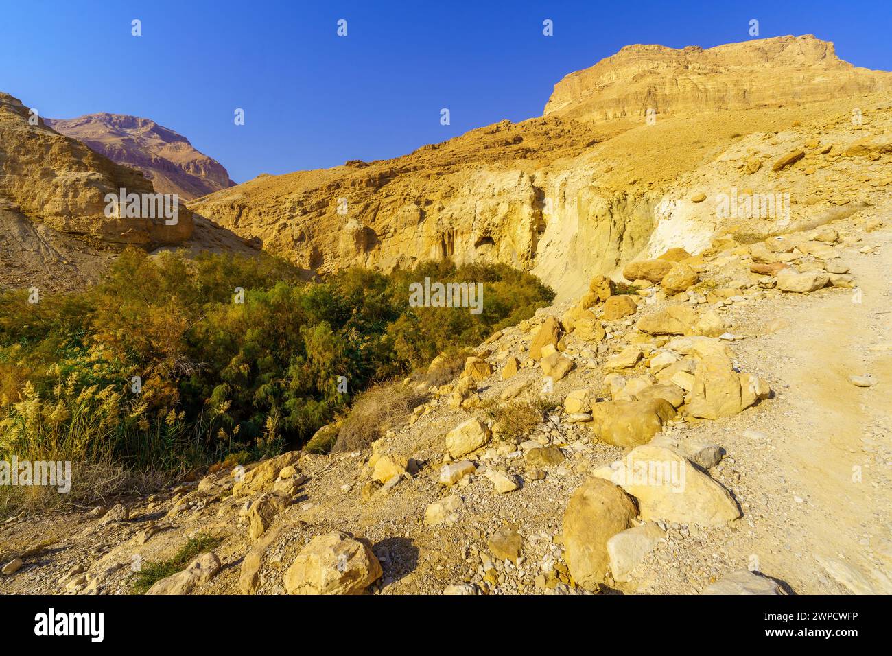 Vista del paesaggio della valle desertica di Bokek, della costa del Mar morto, del deserto della Giudea, del sud di Israele Foto Stock