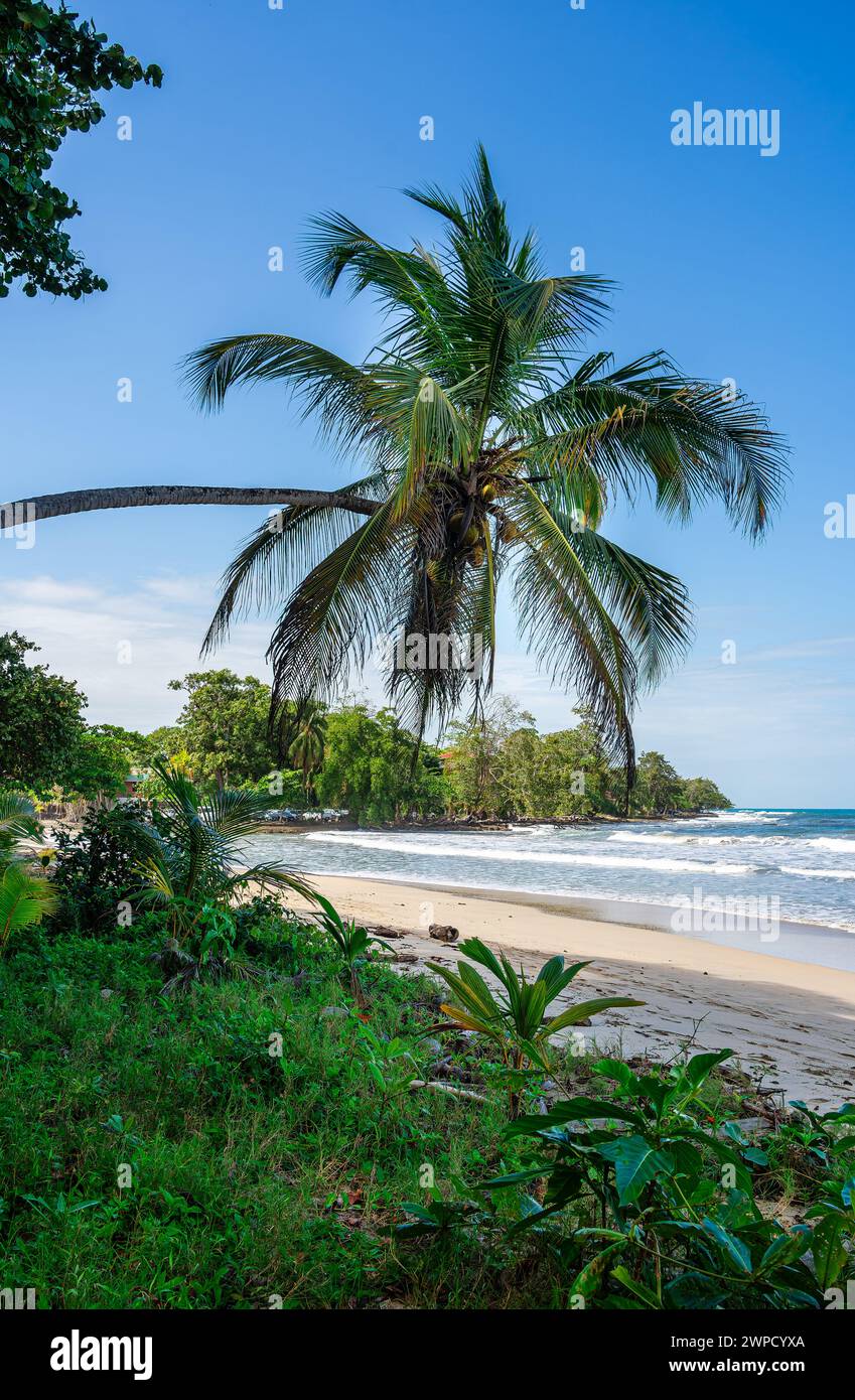 Parco nazionale di Cahuita, Costa Rica Foto Stock