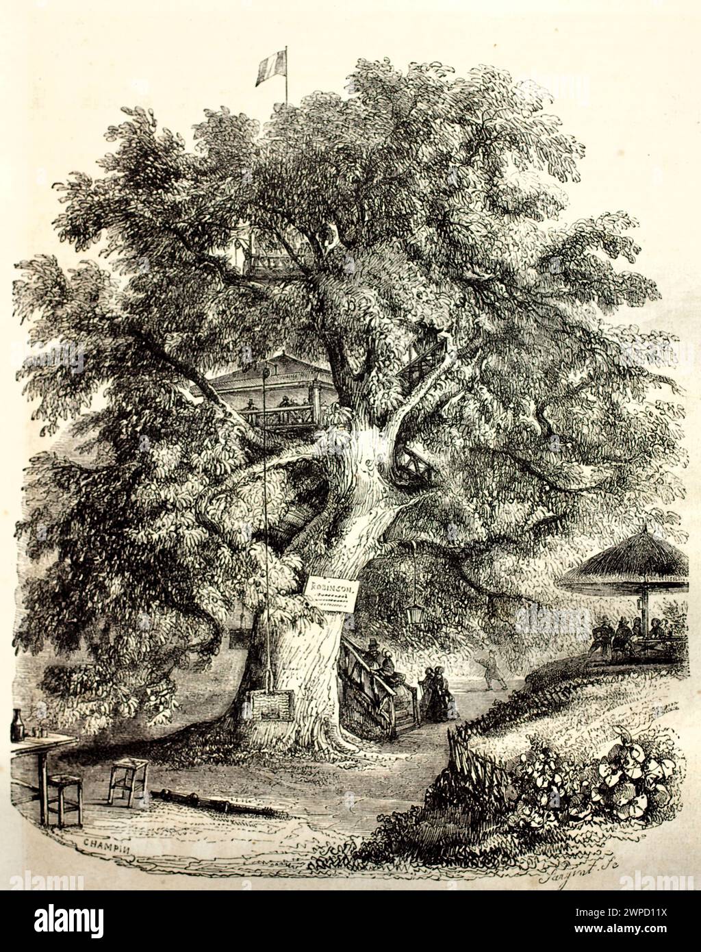 Antica incisione del famoso castagno di Robinson, in Francia, trasformata in una popolare caffetteria sull'albero. Di Champin e Sargent, pubblicato nel 1852 Foto Stock