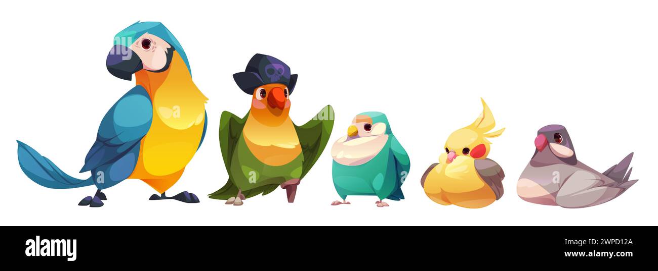 Uccelli colorati isolati su sfondo bianco. Illustrazione vettoriale di un pappagallo esotico cacatua, mascotte fumettistica piuma con cappello pirata, colomba grigia e canarino giallo seduti, elementi di design tropicale Illustrazione Vettoriale