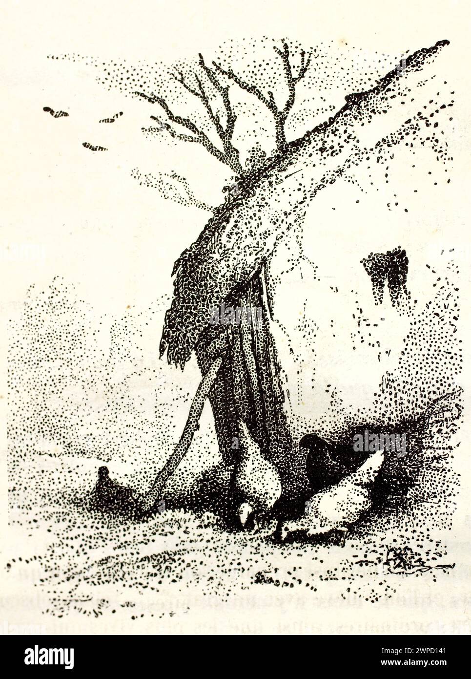 Vecchia illustrazione incisa di una casa non sicura sostenuta da una colonna di legno. Di autore sconosciuto, pubblicato su Magasin Pittoresque, Parigi, 1852 Foto Stock
