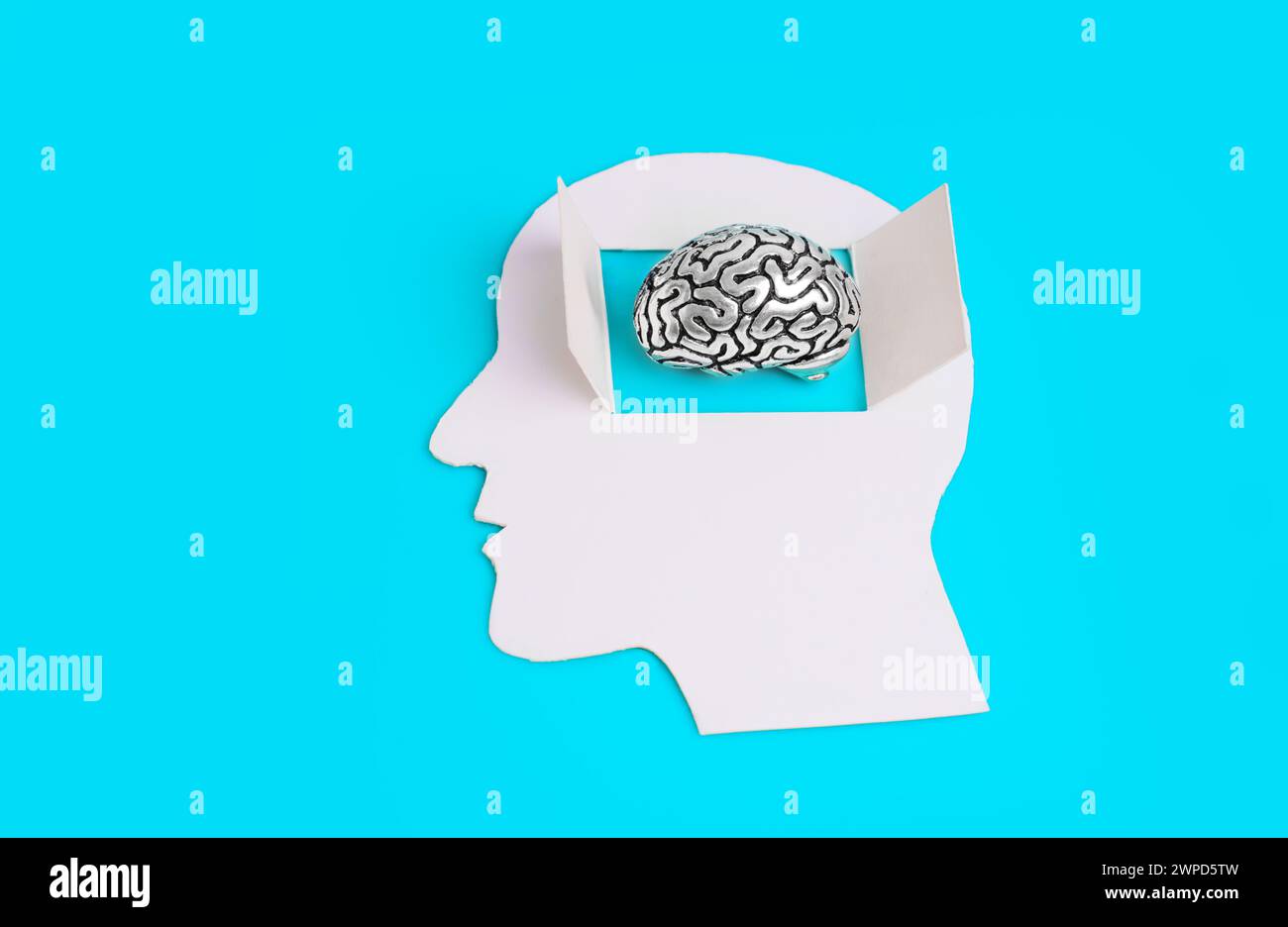 Fessura di carta con testa maschio con una finestra aperta, che mostra un modello cerebrale in acciaio miniaturizzato. Concetto correlato alla mente aperta. Foto Stock