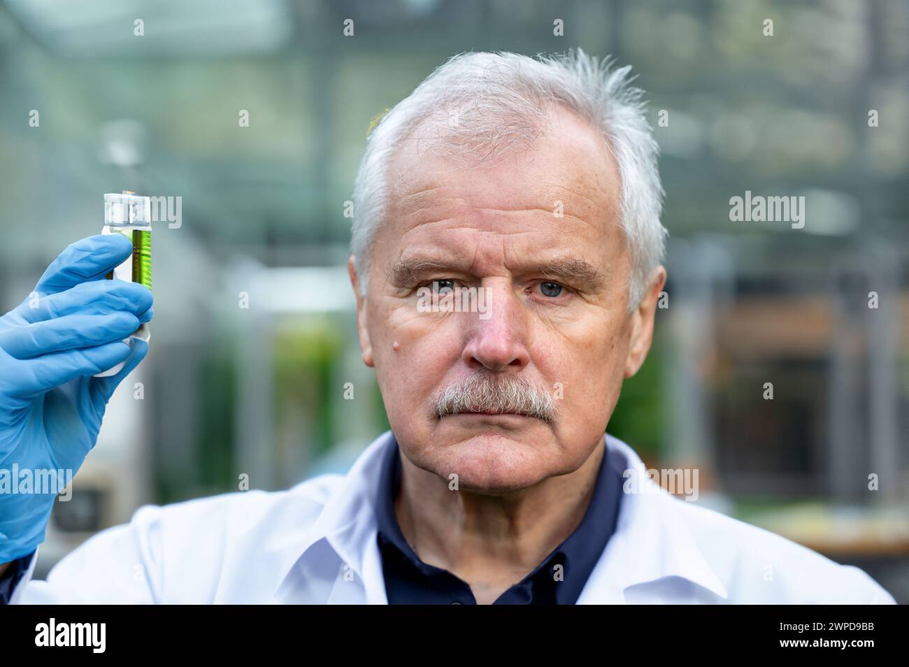 Uno scienziato anziano che tiene in mano una fiasca guarda seriamente nella telecamera. Foto Stock