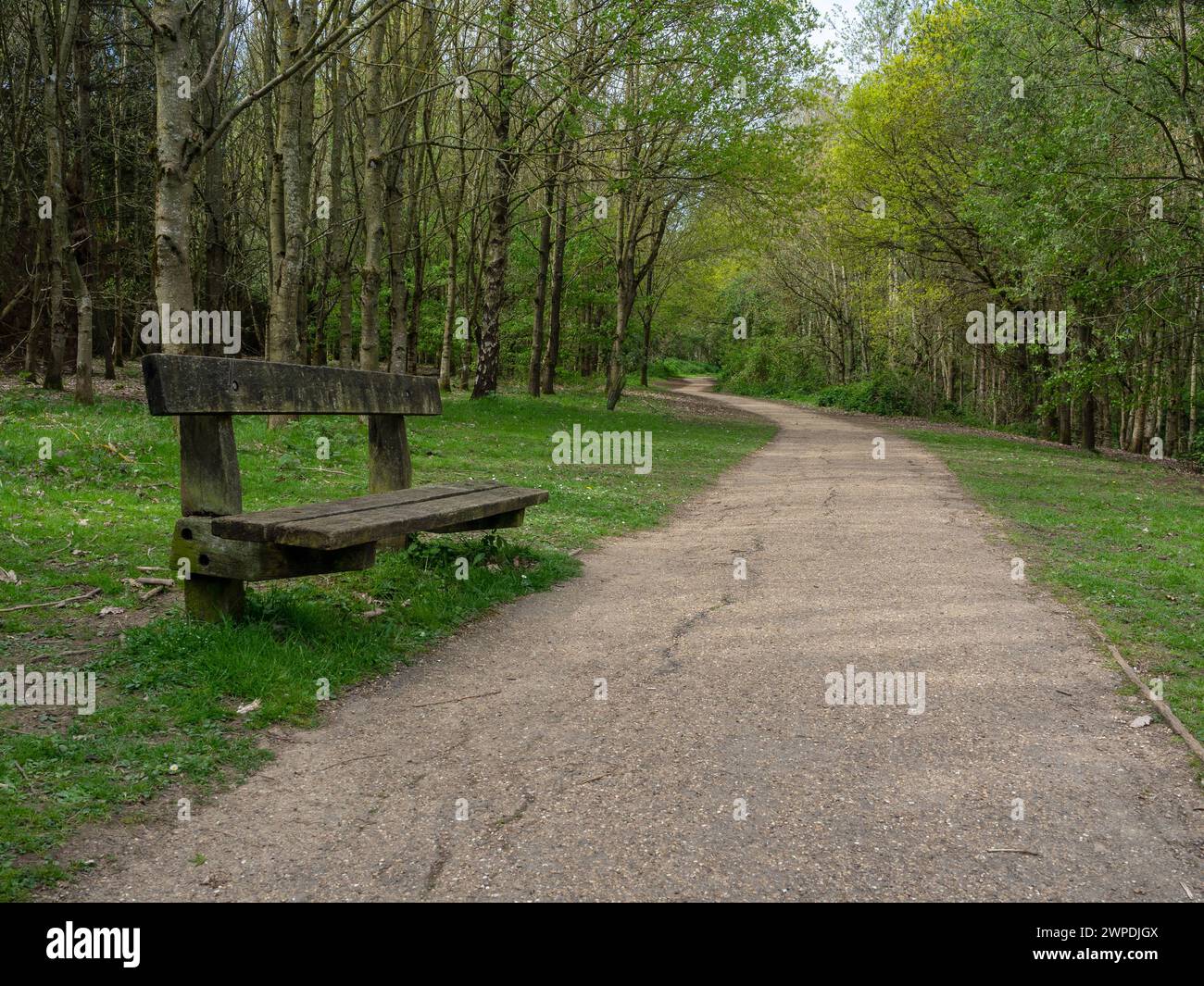 Un sentiero che si snoda attraverso il Brackmills Country Park, uno spazio verde ai margini di Northampton, Regno Unito Foto Stock