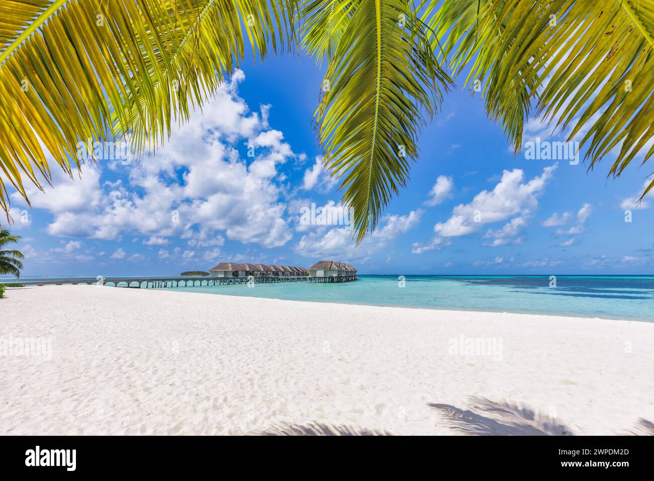 Lussuose ville di viaggio sull'acqua, foglie di palma su sabbia bianca, vicino al mare blu e al mare. Splendido paesaggio sulla spiaggia, sfondo idilliaco. Vacanze estive Foto Stock
