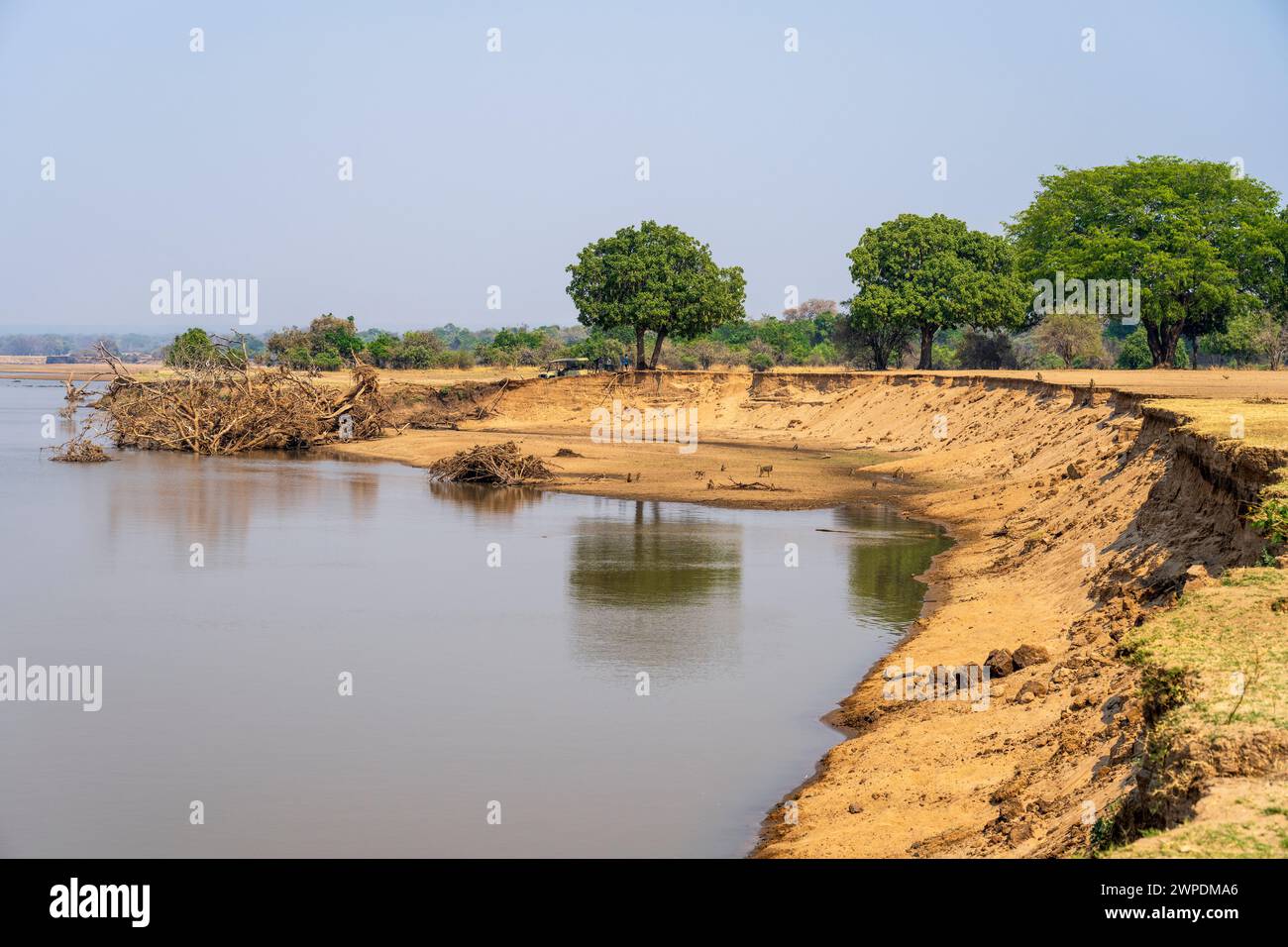 Fiume Luangwa nella stagione secca nel settore Mfuwe del South Luangwa National Park nello Zambia, nell'Africa meridionale Foto Stock