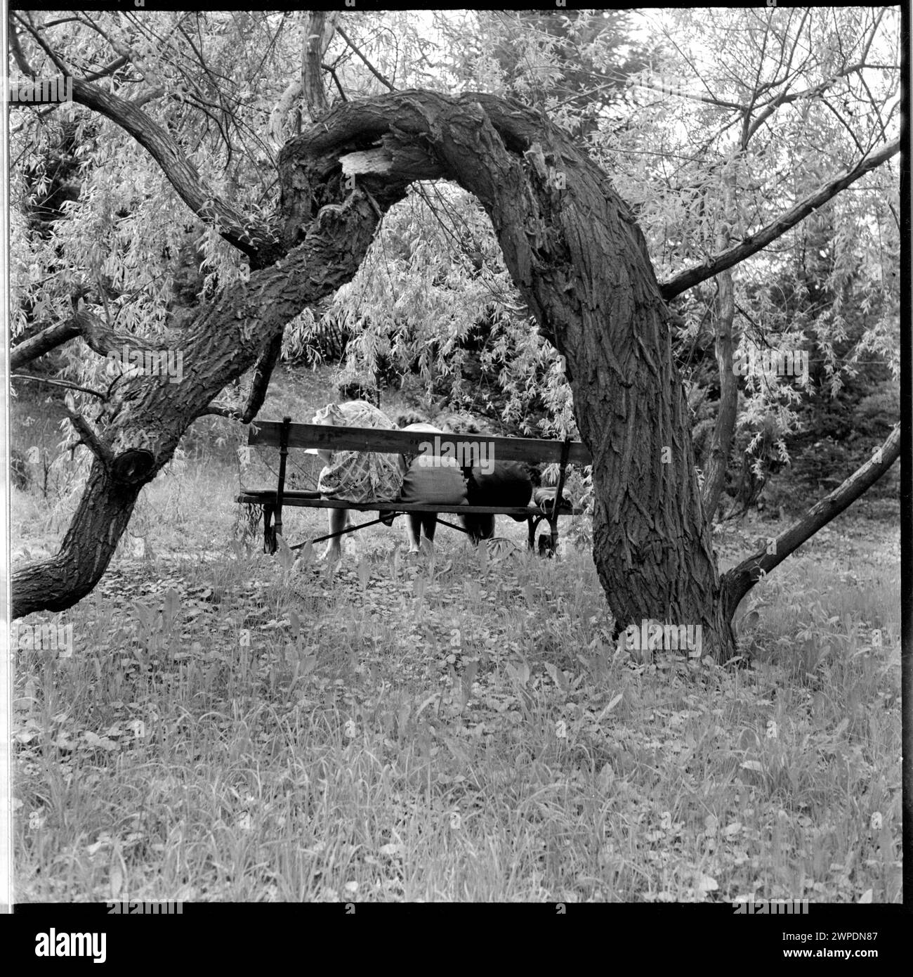 1952 fotografia che mostra gli studenti seduti sulle panchine del Giardino Botanico di Varsavia, parte della serie di fotogiornalismo di Wiesław Prażuch 'in the Botanical Garden'. Foto Stock