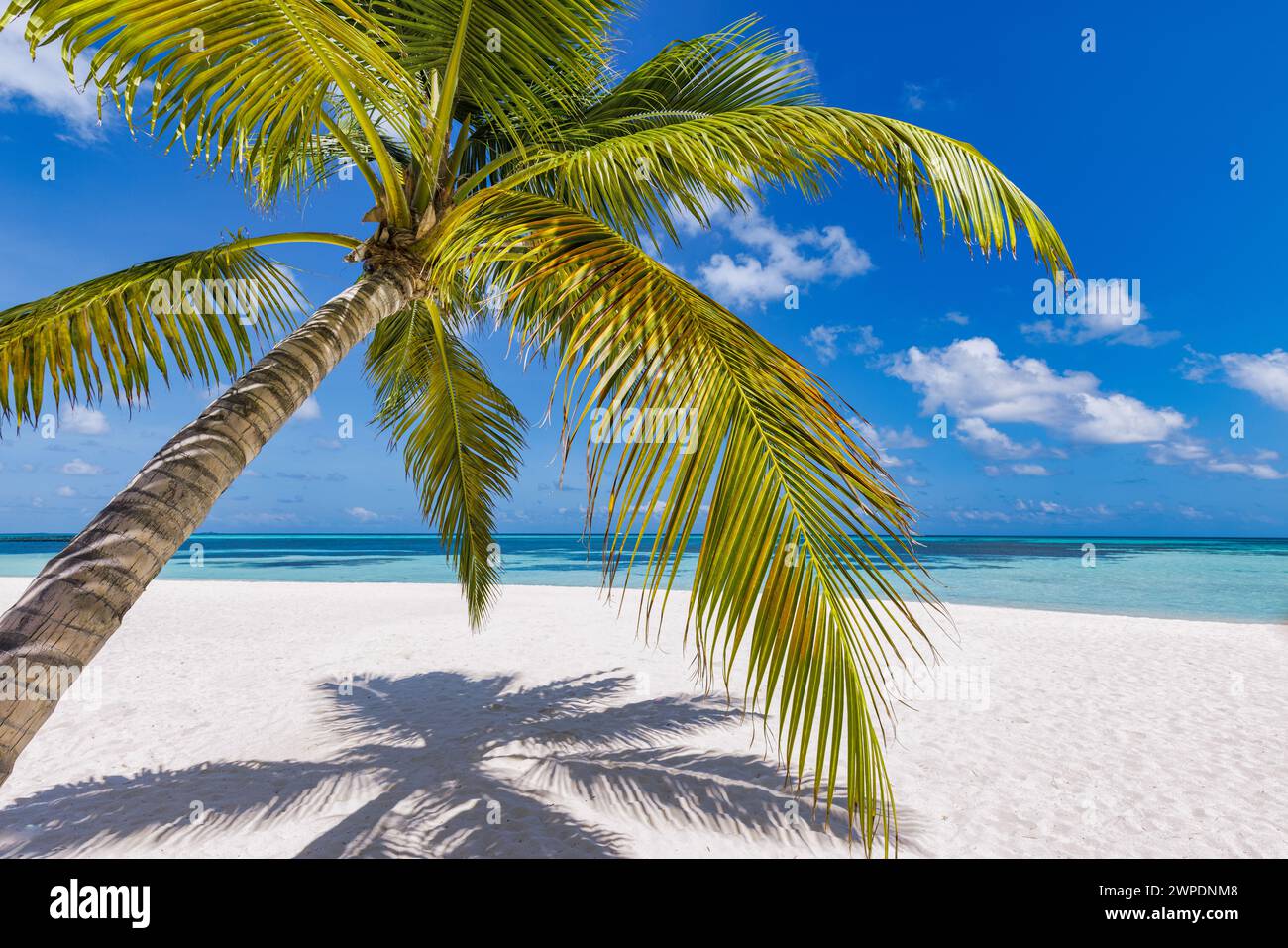 Perfetto striscione estivo con una spiaggia rilassante e mare blu e foglie di palma. Concetto di vacanza tranquilla Foto Stock