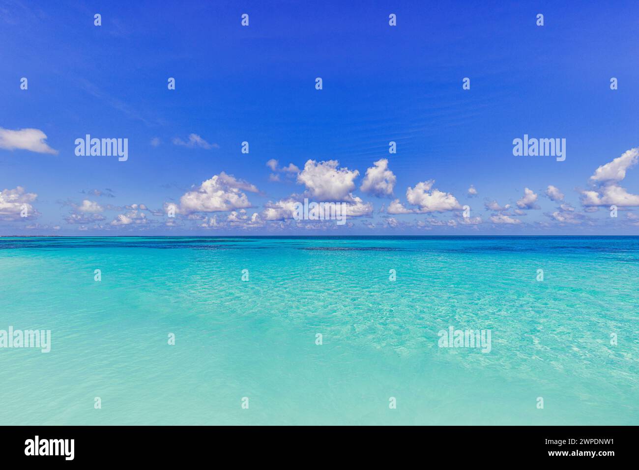Orizzonte blu del cielo blu del mare. Natura ed ecologia perfette. Giornata dell'oceano, giornata del mare e giornata della Terra. Ambiente marino, perfetto sfondo naturale Foto Stock