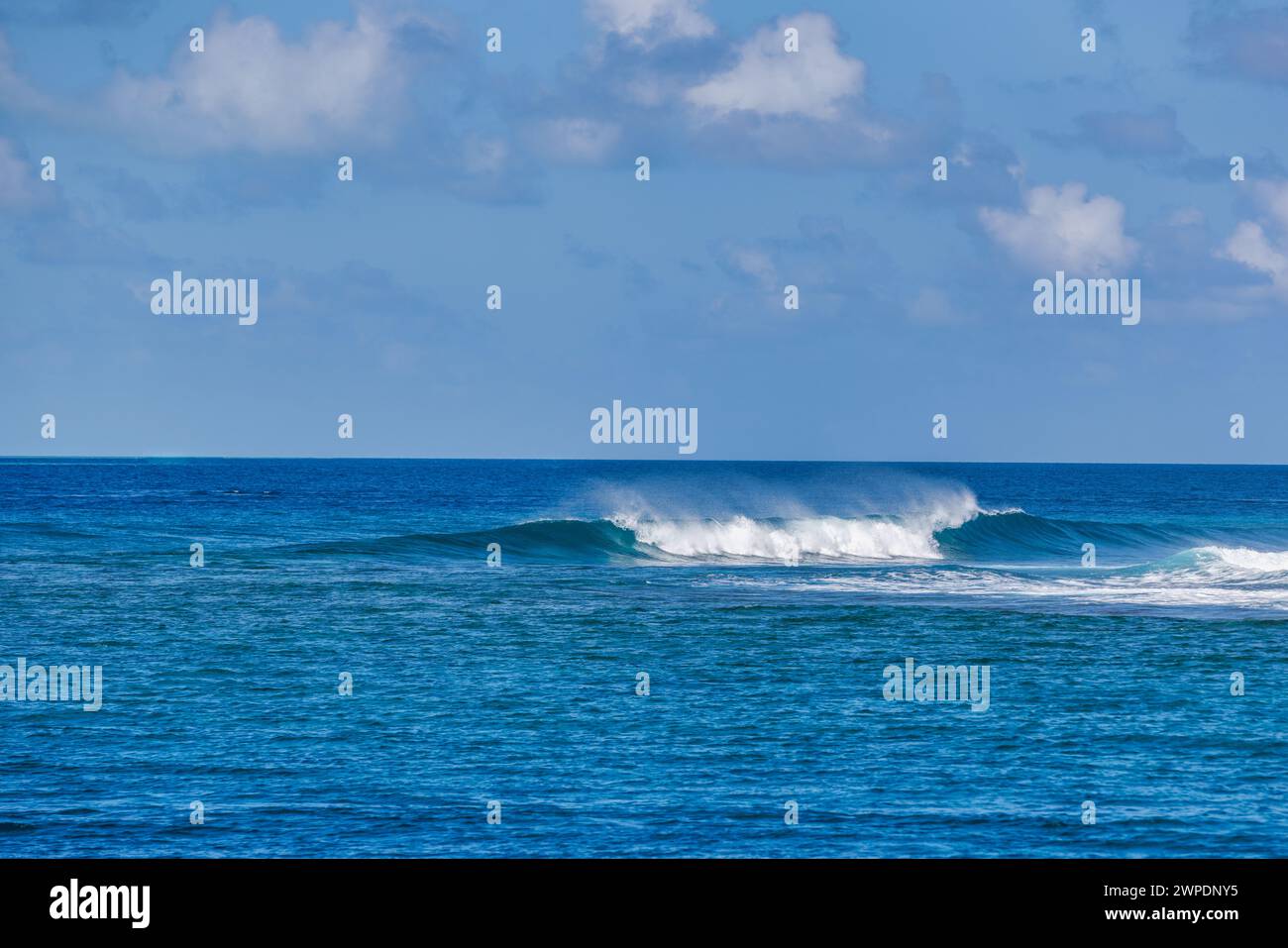 Soleggiate onde blu dell'oceano. Splendido panorama di ricci dalle onde blu. Mare naturale, mare con orizzonte sotto il cielo azzurro nuvoloso. Ecologia idilliaca Foto Stock