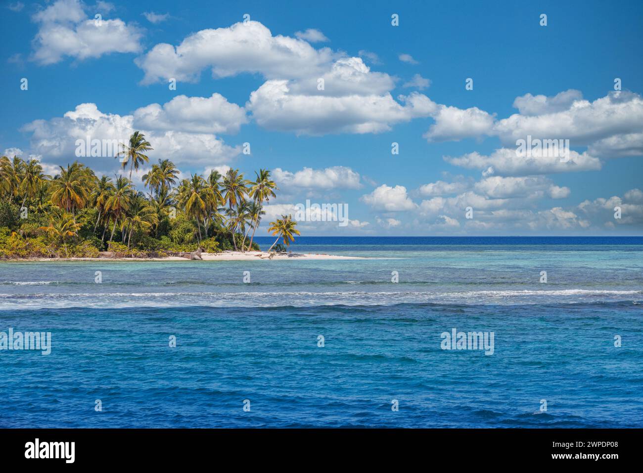 Concetto di spiaggia e natura. Palm Beach nell'idilliaca isola paradisiaca tropicale. Paesaggio esotico per scenari estivi da sogno e ispiratori da utilizzare come sfondo Foto Stock