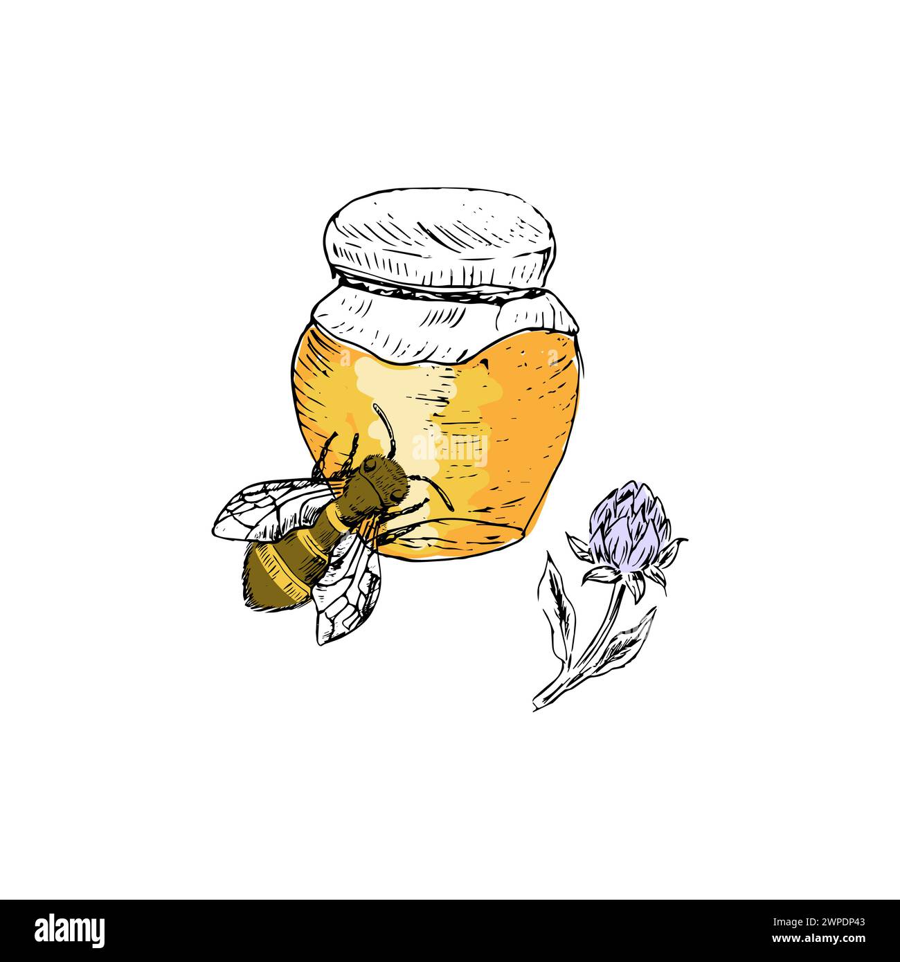 Barattolo di miele e trifoglio disegnato a mano a colori. L'illustrazione vettoriale può essere utilizzata per l'imballaggio di carta, etichette, poster e cartoline. Miele i vettoriale inciso o inchiostro Illustrazione Vettoriale