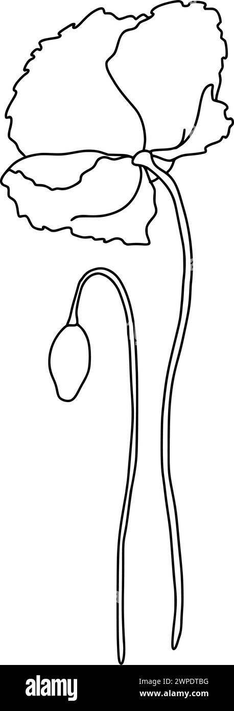 Composizione di fiori e boccioli di papavero. Illustrazione vettoriale in stile contorno. Linea nera su sfondo bianco isolato Illustrazione Vettoriale