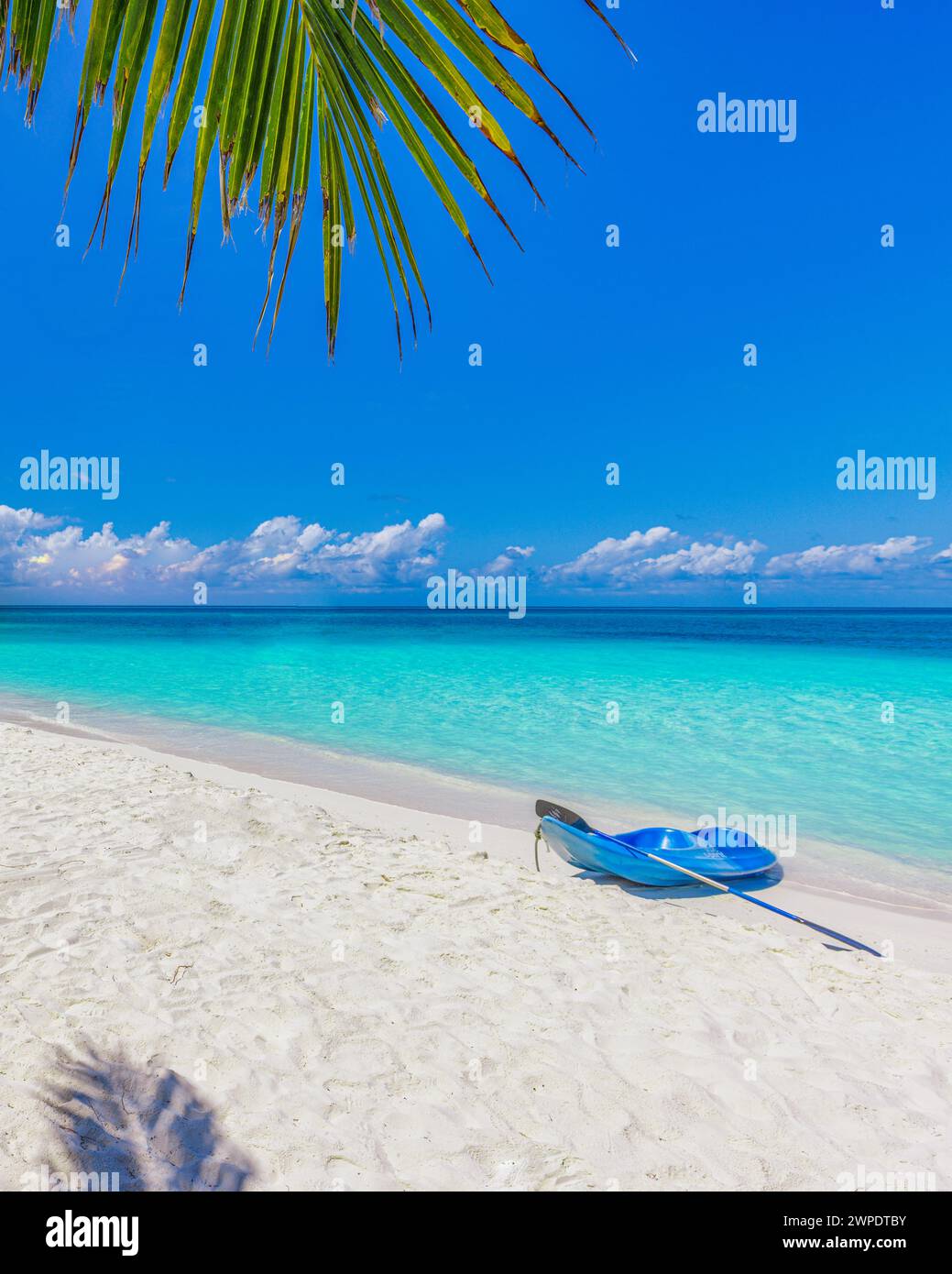 Spiaggia dell'isola delle Maldive con kayak blu a riva. Paesaggio tropicale estivo, sabbia bianca con palme. Destinazione turistica di lusso. Esotico Foto Stock