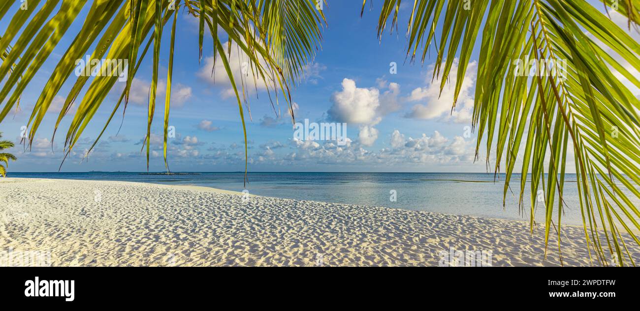 Paesaggio estivo della spiaggia. Vacanza sfondo natura, belle foglie di palma con calma rilassante mare blu sotto cielo nuvoloso. Perfetto tropicale tranquillo Foto Stock