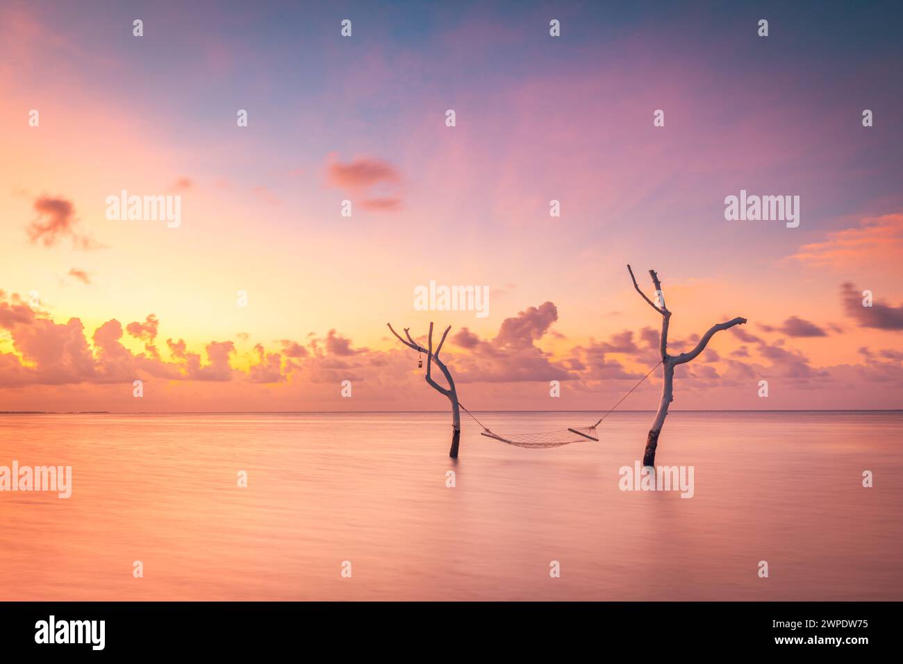Splendido tramonto luminoso su una spiaggia tropicale paradisiaca. Astratti esposizione lunga acqua e cielo, rami di alberi con altalena o amaca. Incredibile isola laguna Foto Stock