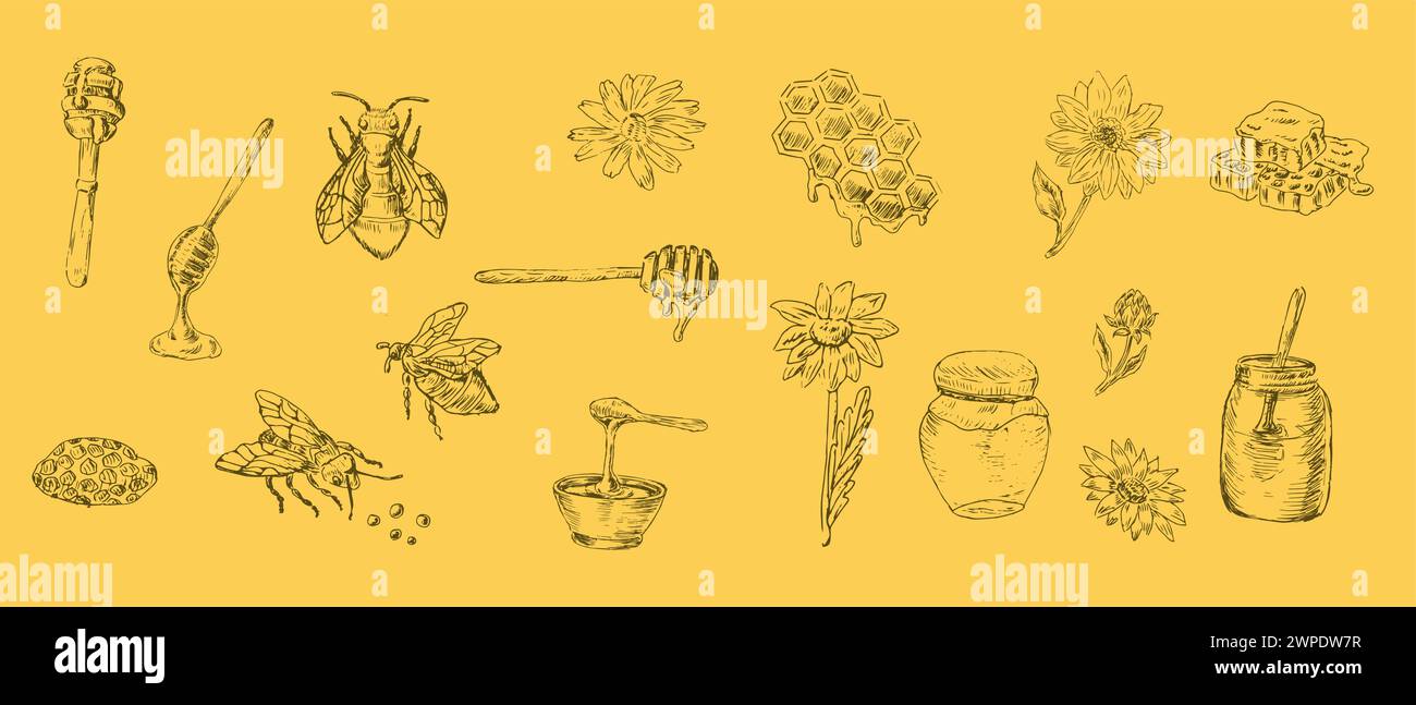 Disegnare il set di prodotti a base di miele e fiori, api su sfondo giallo. L'illustrazione vettoriale può essere utilizzata per avvolgere carta, tessuto, etichette alimentari, stampa per org Illustrazione Vettoriale