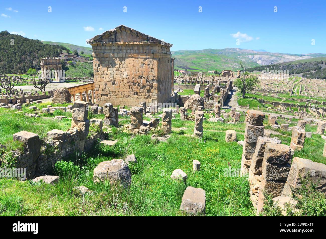 Tempio di Severo nella città romana di Cuicul, Algeria Foto Stock