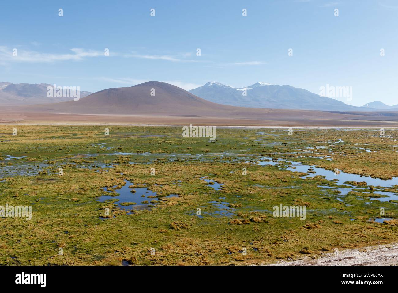 Scopri le panoramiche zone umide vado Rio Putana tra San Pedro de Atacama e i geyser di El Tatio nel deserto di Atacama in Cile, Sud America Foto Stock