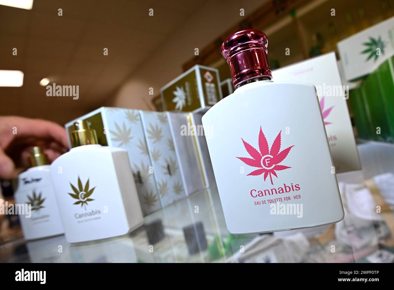 Themenbild Hanfprodukte. Flakons mit Cannabis Parfum, Eau de toilette im Bioladen NATUR ERLEBNISWELT ad Aschheim bei Muenchen. *** Foto a tema prodotti di canapa bottiglie con profumo di cannabis, eau de toilette nel negozio biologico NATUR ERLEBNISWELT ad Aschheim vicino Monaco Foto Stock