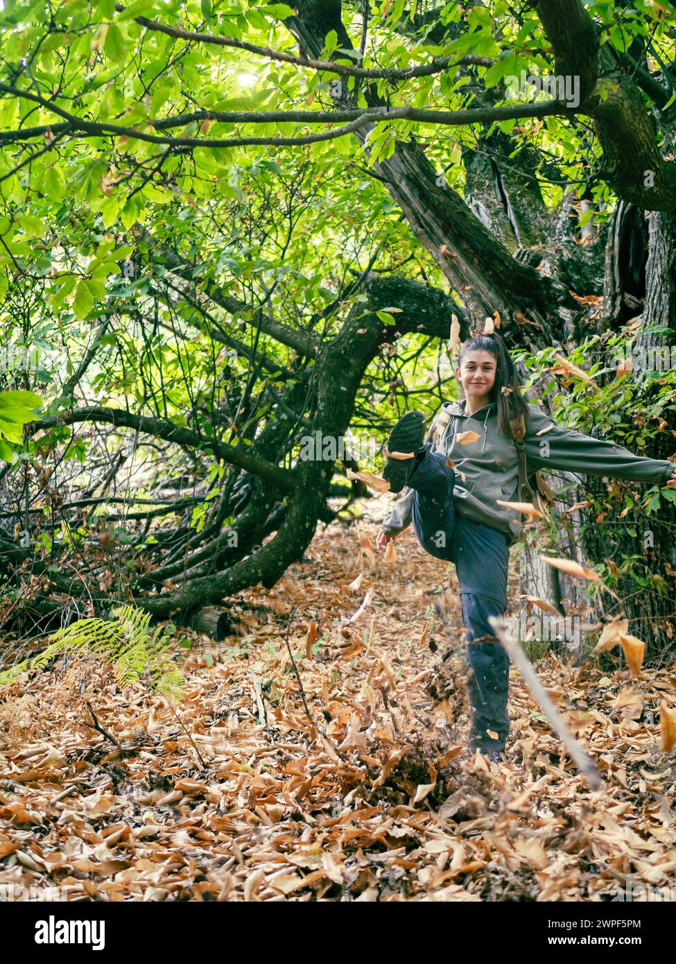 Una giovane ragazza si diverte in una foresta di castagni sollevando foglie con il piede. Foto Stock