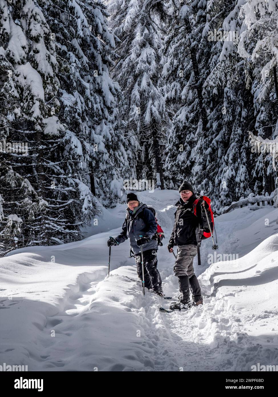 Quest'immagine invernale di ciaspole si trova nella pittoresca foresta della valle di Obernbergtal, non lontano dalla città di Steinach am Brenner Foto Stock