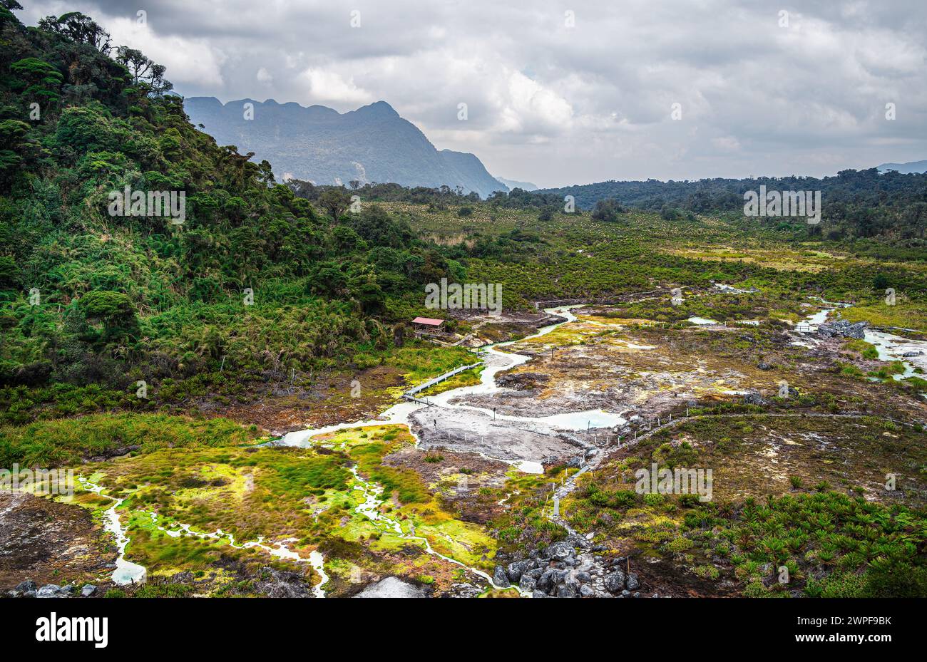 Parco nazionale di Puracé, Cauca, Colombia Foto Stock