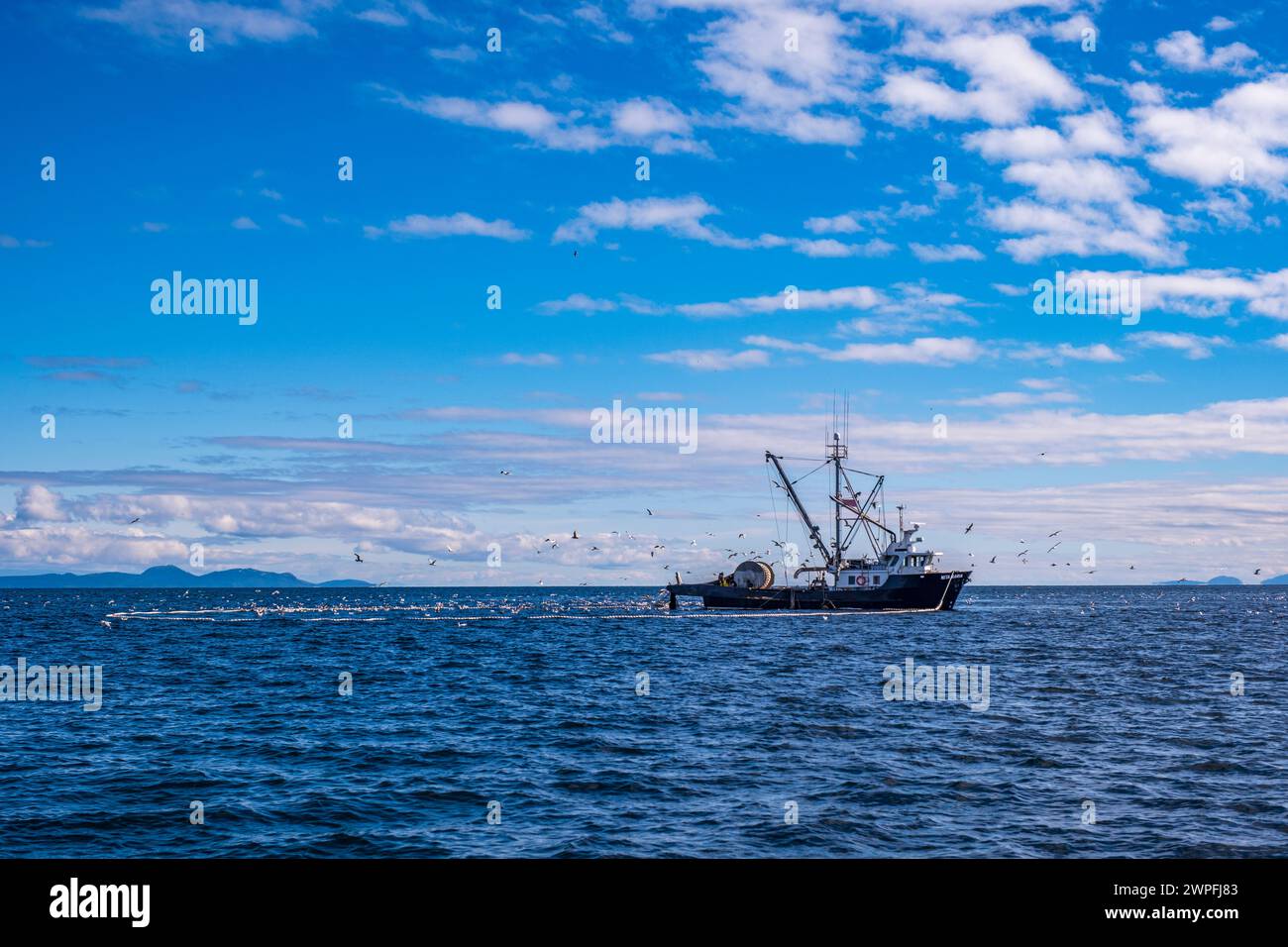 La scialuppa MV Nita Maria conduce la pesca di aringa del Pacifico vicino a Denman Island, British Columbia, 5 marzo 2024 Foto Stock