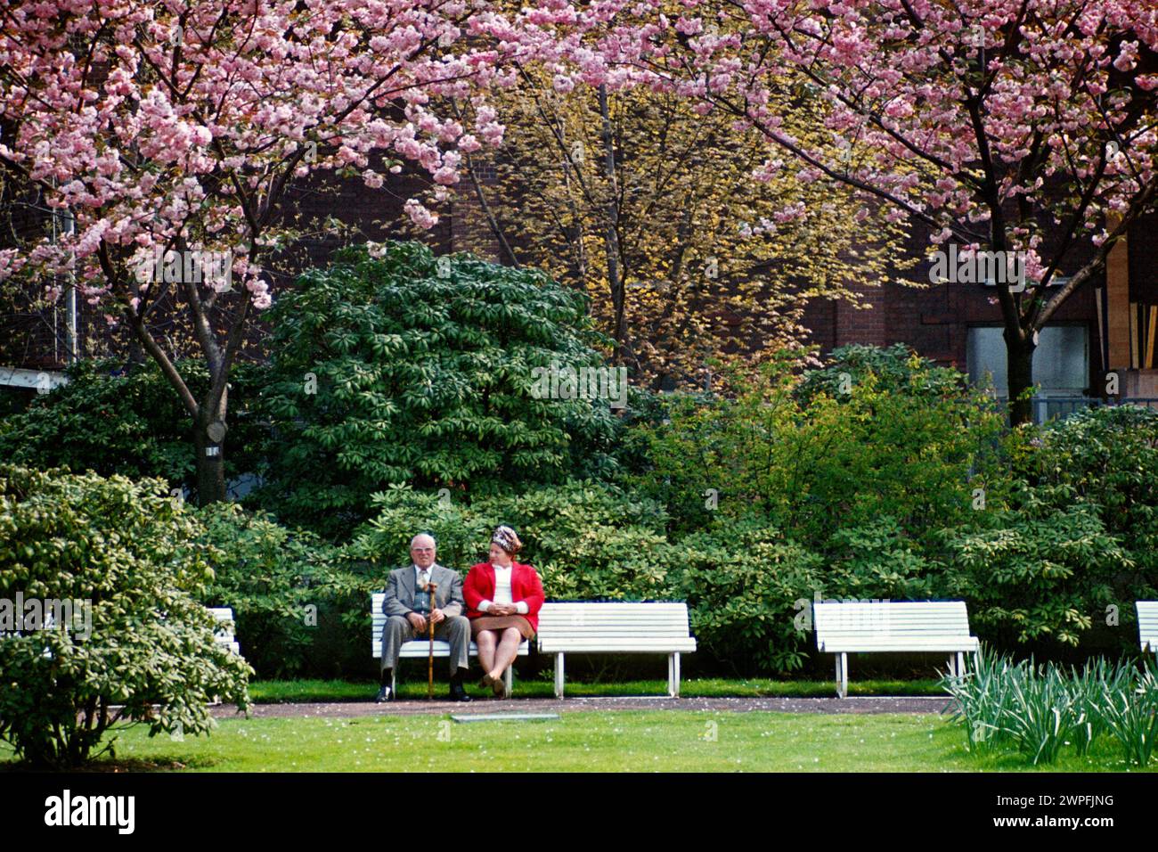Coppia anziana seduta su una panchina sotto la fioritura primaverile nel Rhinepark nel 1980, Colonia, Renania settentrionale-Vestfalia, Germania Foto Stock