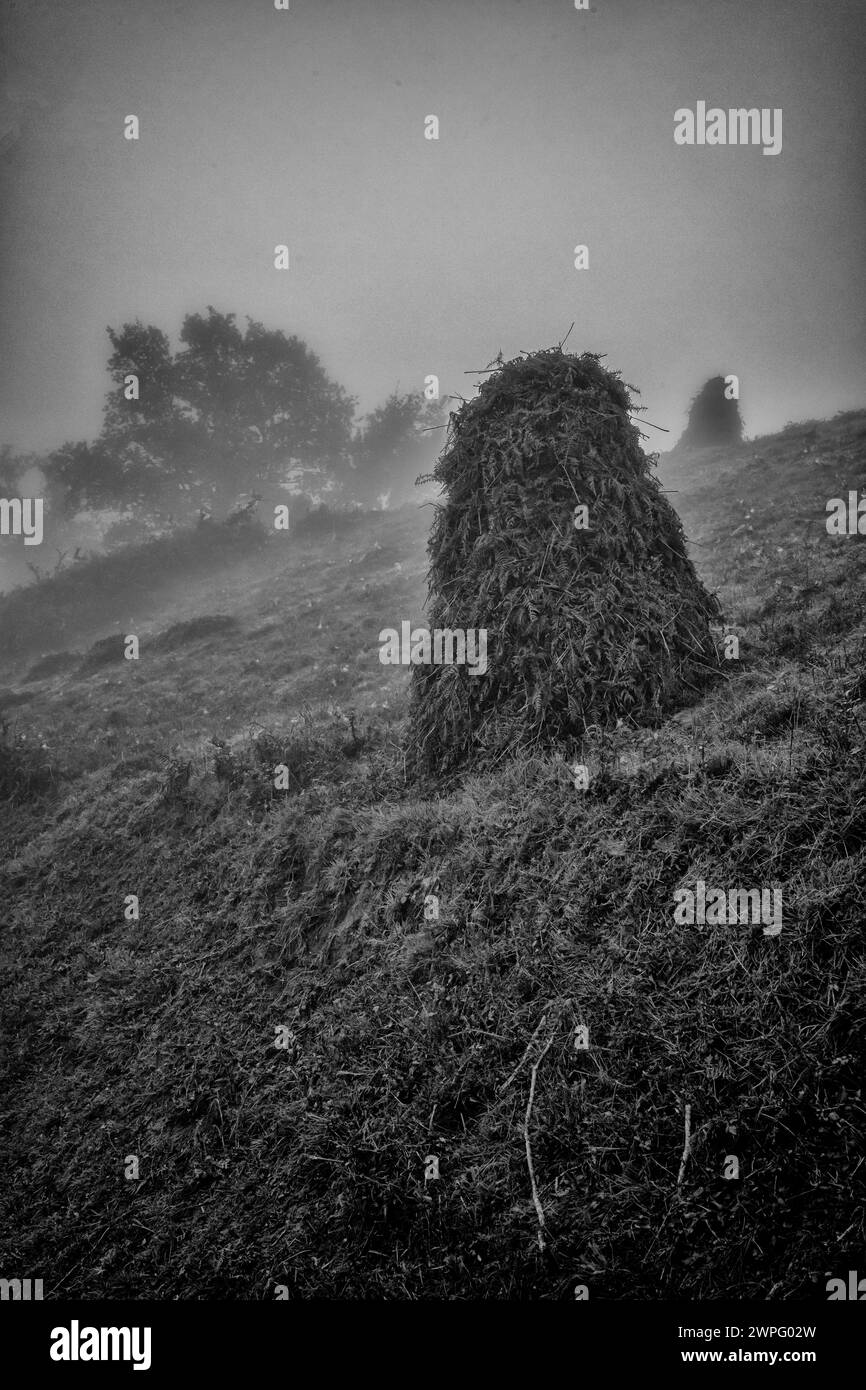Pagliaio in un paesaggio nebbioso, Orabidea, Navarra, Spagna. Ottobre 2021. Foto Stock