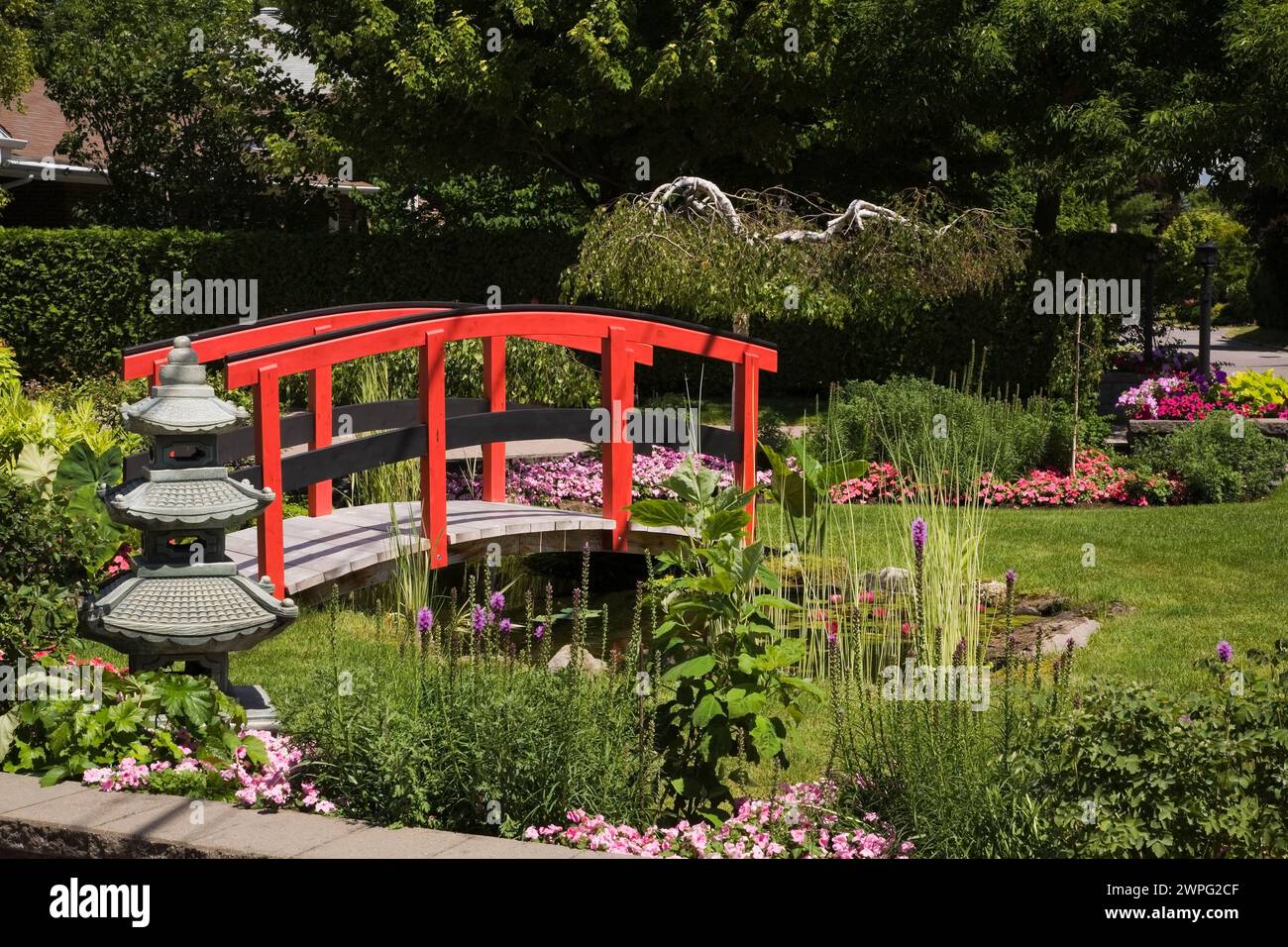 Confine con pagoda, Impatiens rosa - fiori di Balsamo e passerella in legno dipinta di rosso e nero sullo stagno in giardino panoramico in estate. Foto Stock