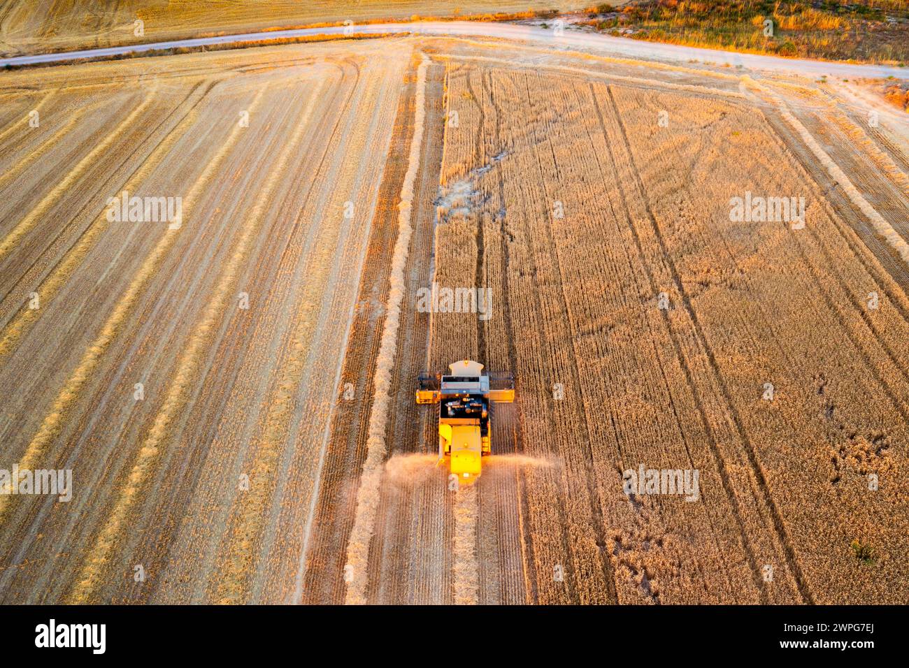 Vista aerea della mietitrebbia per la raccolta del grano. Foto Stock