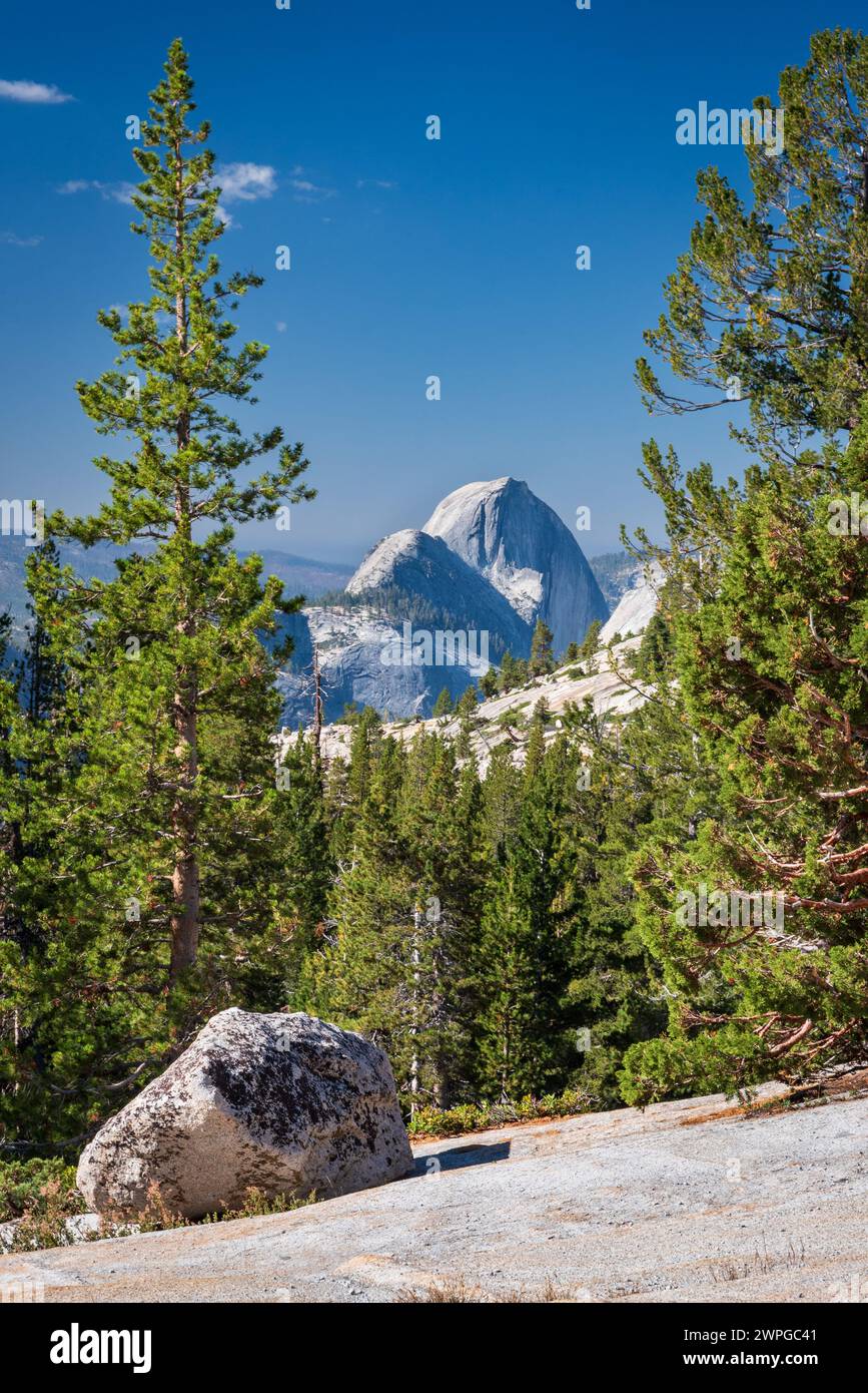 Splendido paesaggio alpino lungo il pittoresco passo Tioga, California, Stati Uniti. Foto Stock