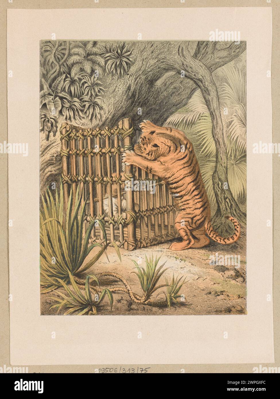 "Combattere la tigre" è un'opera d'arte che raffigura una figura umana o animale impegnata in combattimento con una tigre. Il pezzo illustra l'azione, il movimento e l'interazione nell'arte narrativa animale o umano-animale. Foto Stock