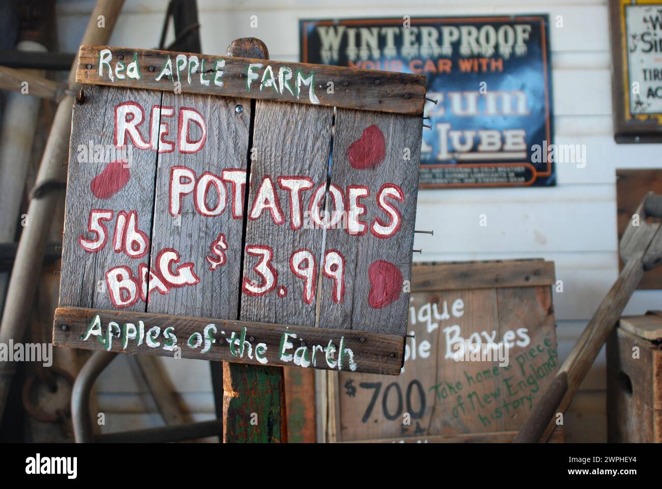 Insegna delle patate rosse presso la Red Apple Farm, Massachusetts USA Foto Stock