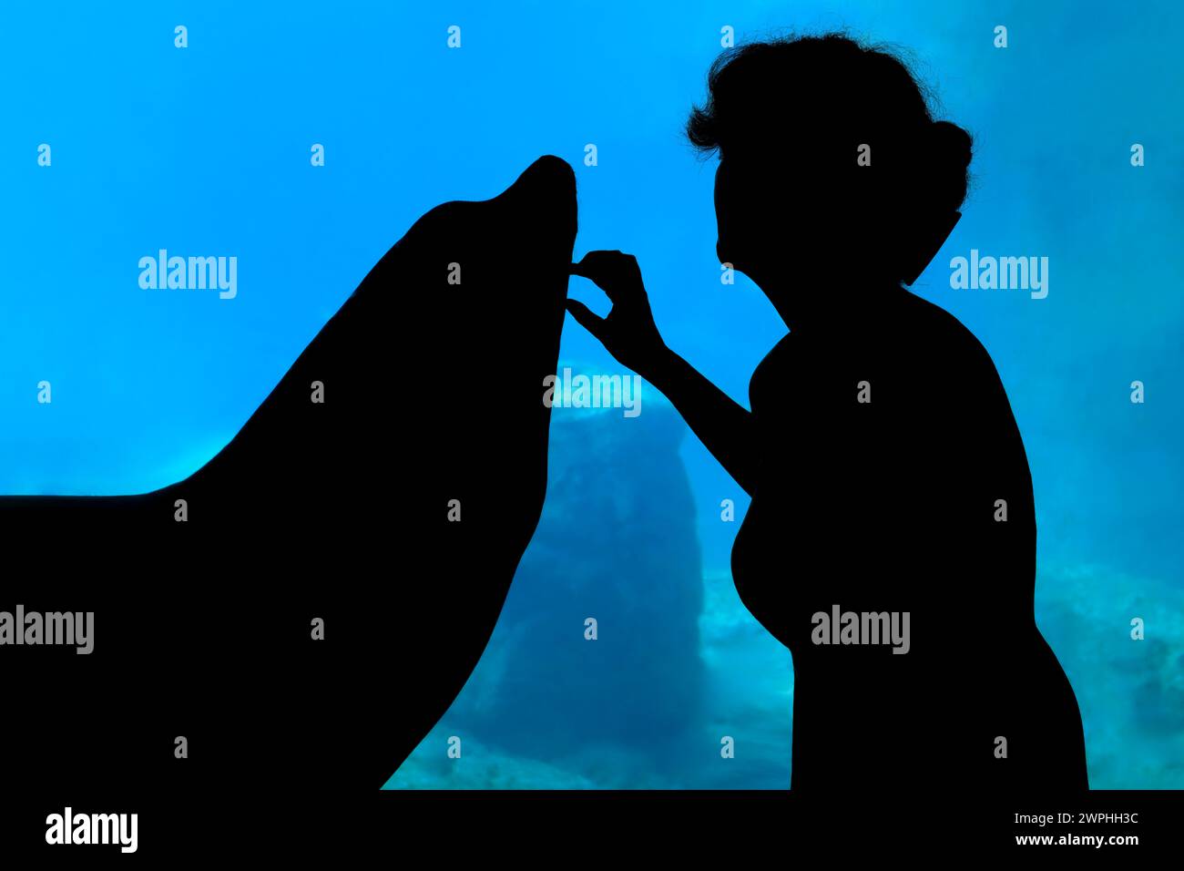 Donna che gioca con un leone marino all'Aquarium Foto Stock