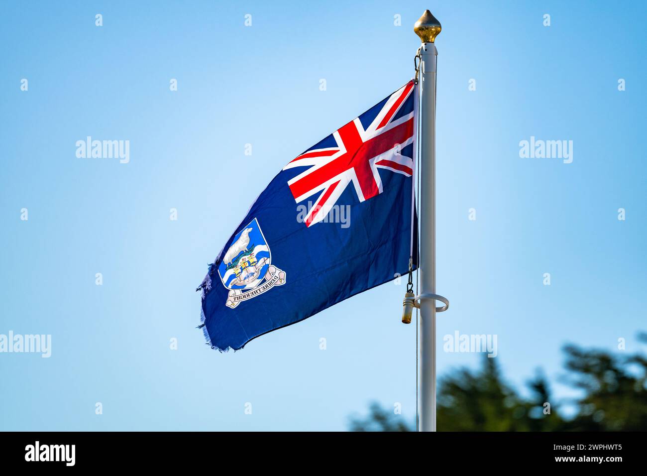 Bandiera delle Isole Falkland su un palo. Foto Stock