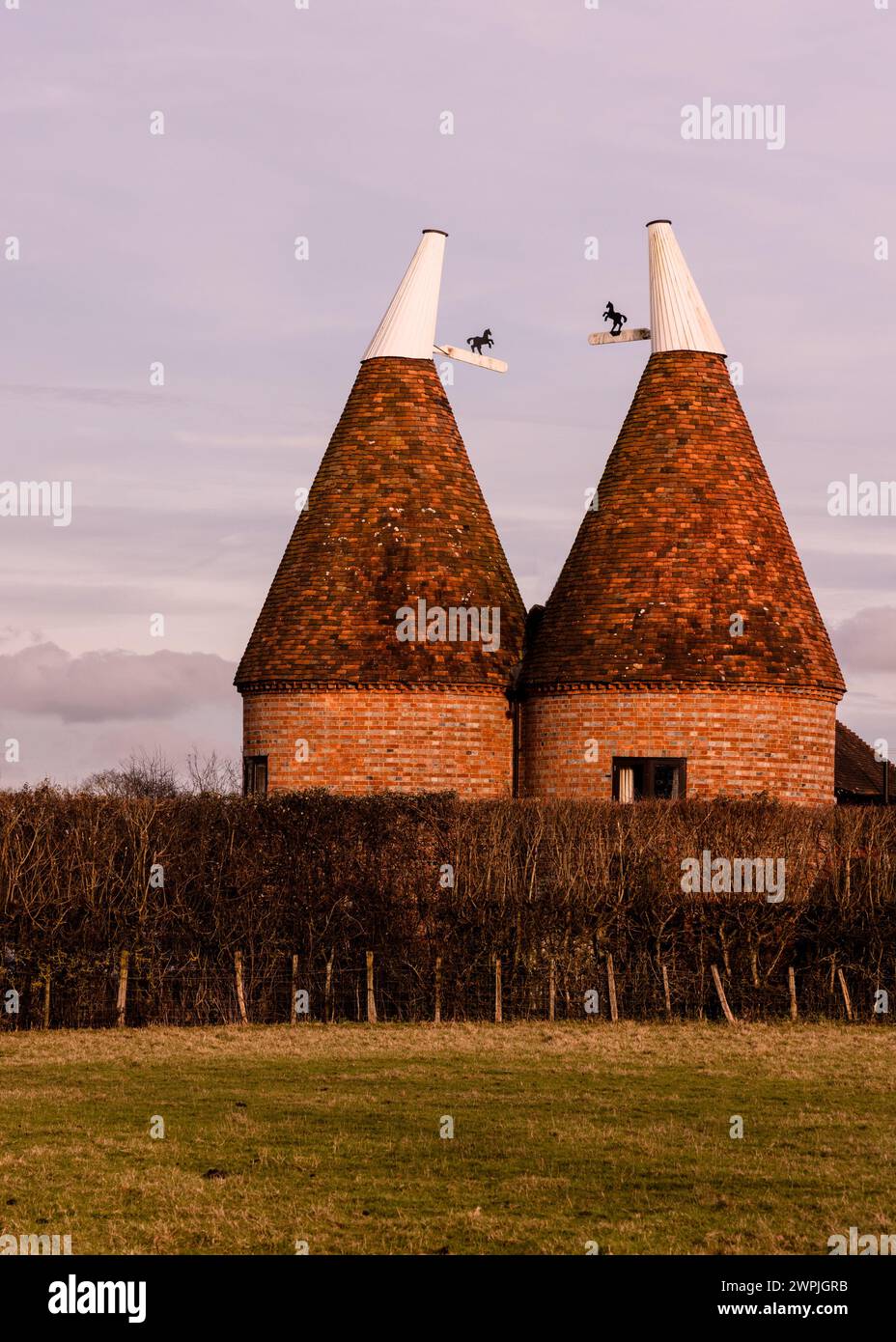 Due grandi edifici a cono in un campo verde Foto Stock
