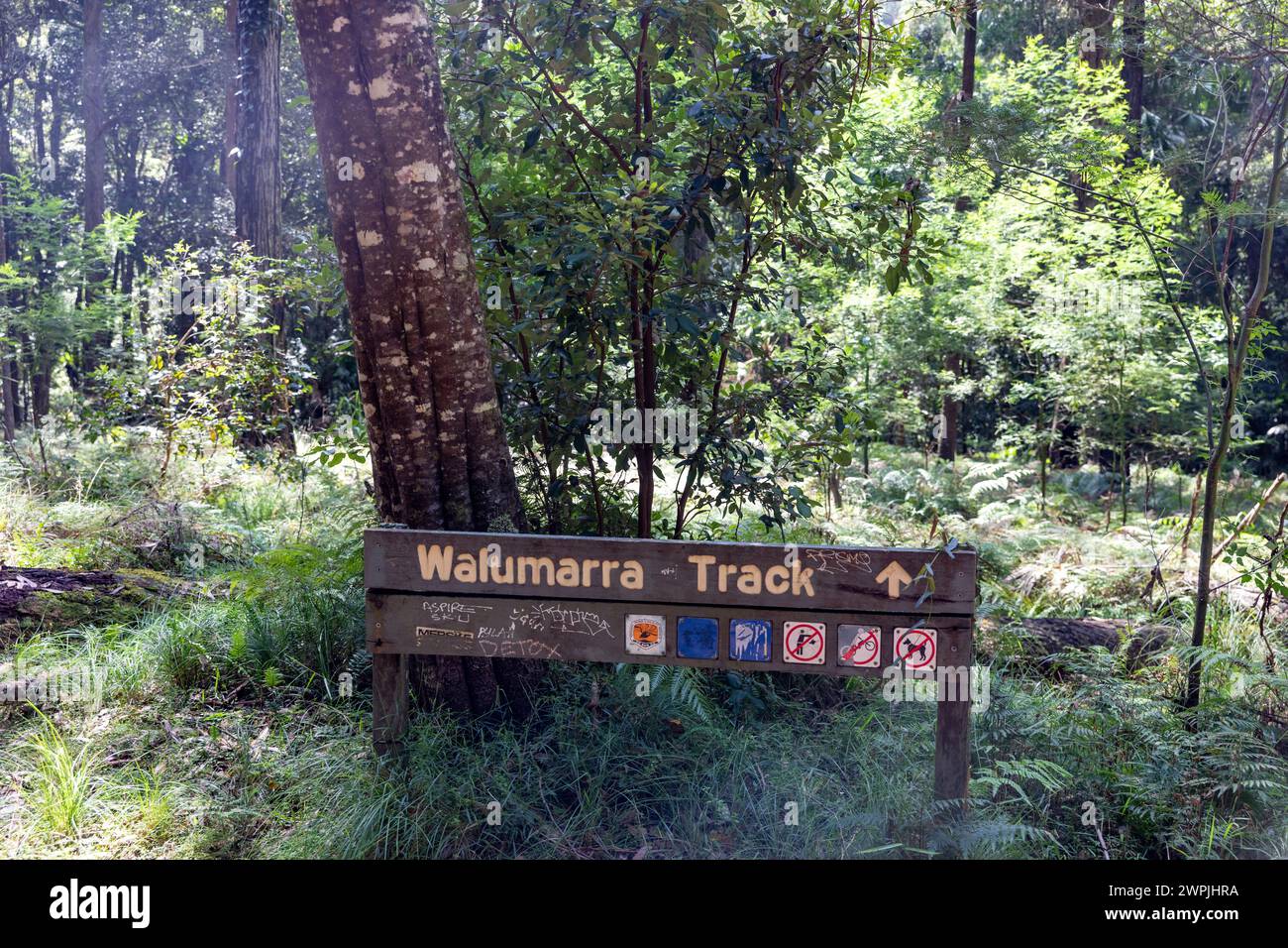 Insegna in legno di Walumarra Track su Lady Carrington Drive nel Royal National Park, NSW, Australia, 2024 Foto Stock