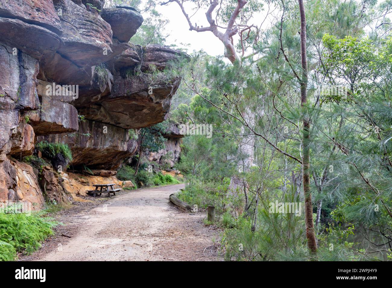 Lady Carrington Drive nel Royal National Park Sydney, grande formazione rocciosa sovrastante il sentiero, NSW, Australia, 2024 Foto Stock