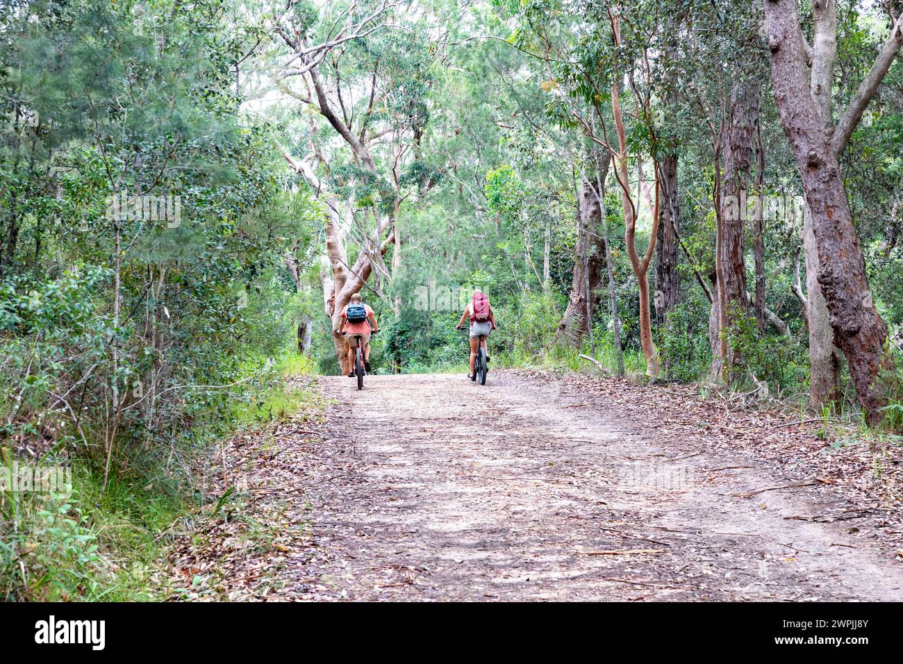 Lady Carrington Drive nel Sydney Royal National Park, le giovani coppie viaggiano in mountain bike lungo il sentiero, New South Wales, Australia Foto Stock