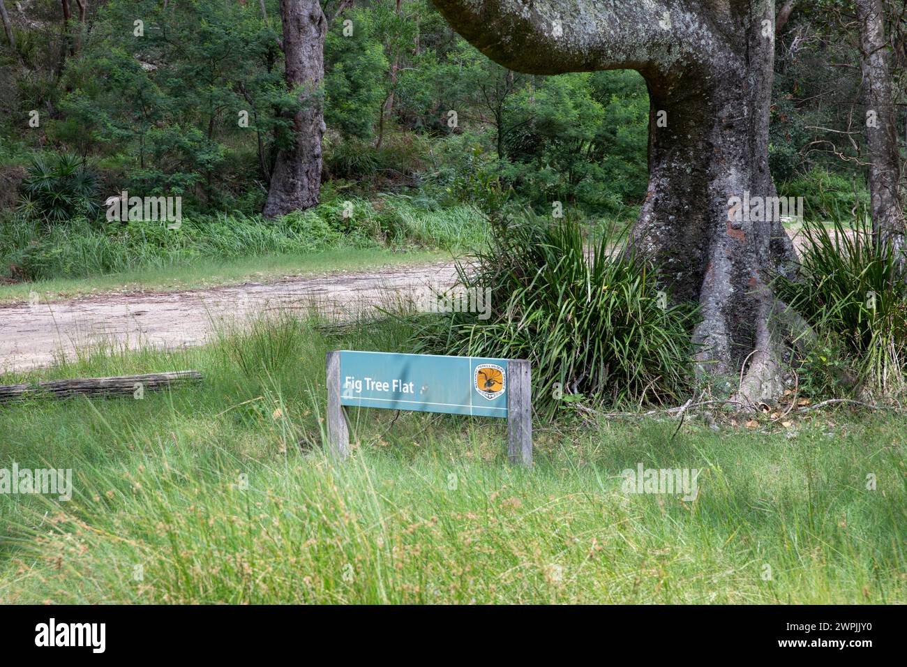 Area picnic Fig Tree Flat nel Royal National Park, vicino al fiume Hacking e al villaggio di Audley, Sydney, NSW, Australia Foto Stock