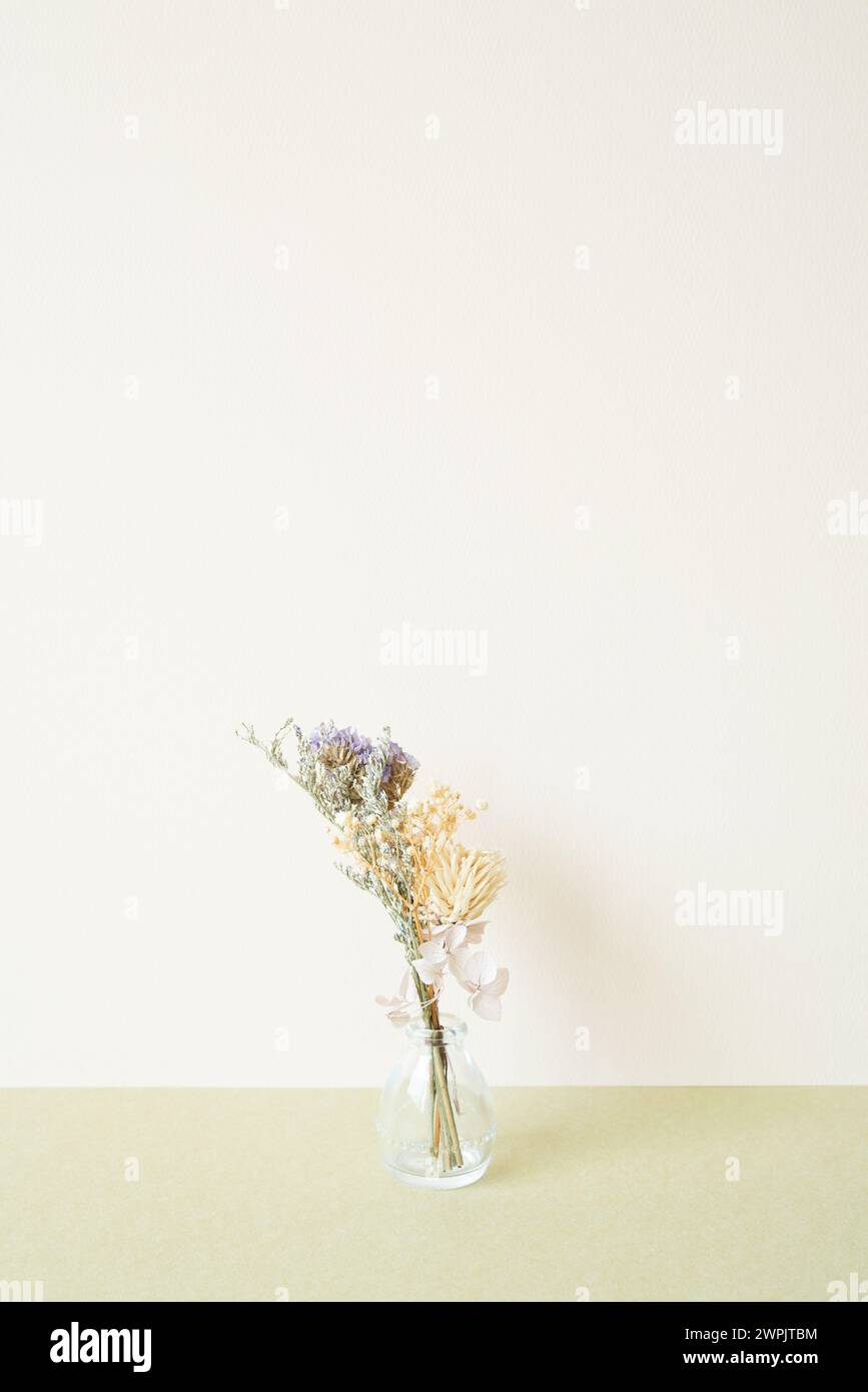 Vaso in vetro di fiori secchi sul tavolo. sfondo bianco avorio Foto Stock