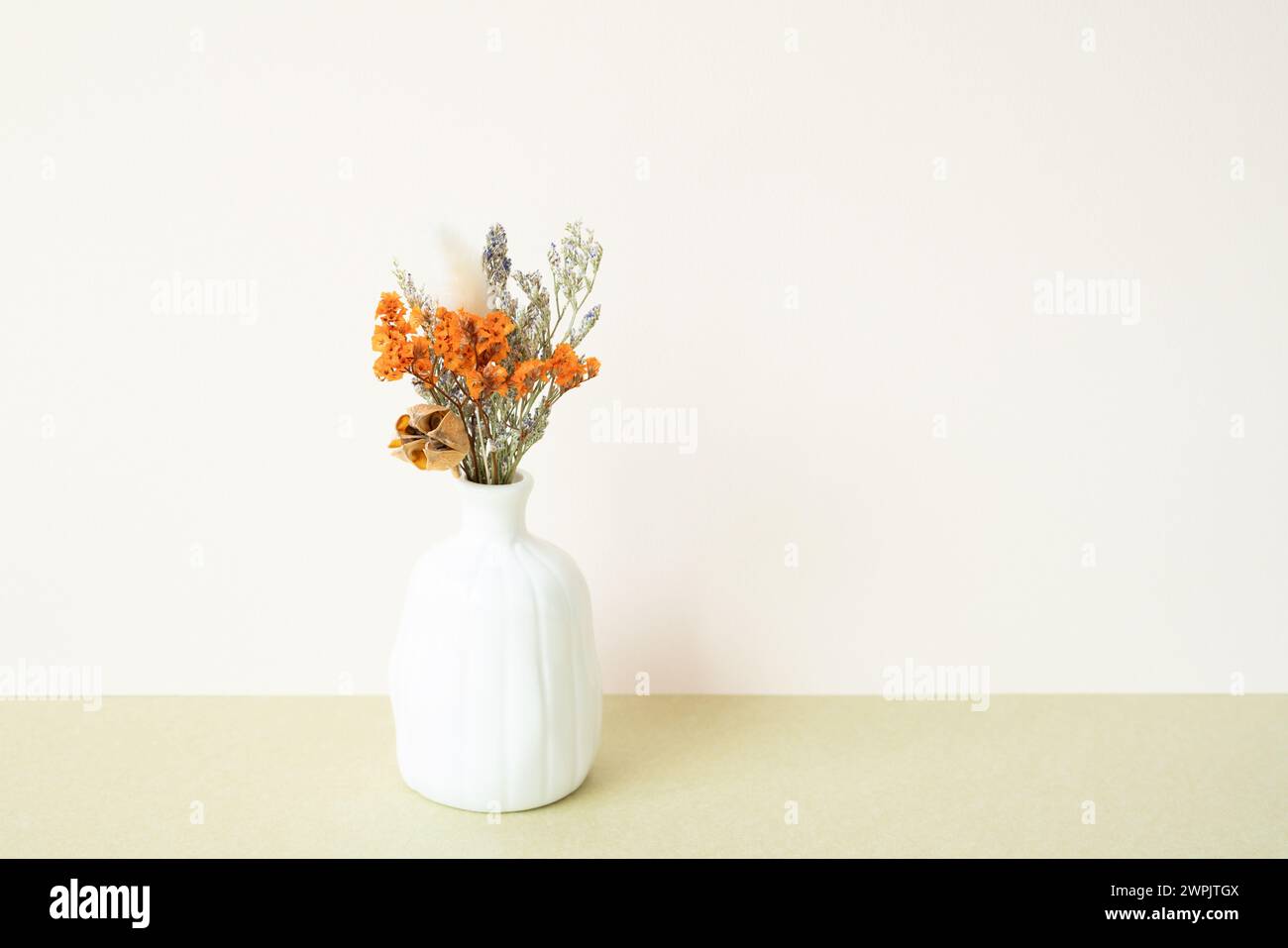 Vaso bianco di fiori secchi sul tavolo. sfondo bianco avorio Foto Stock