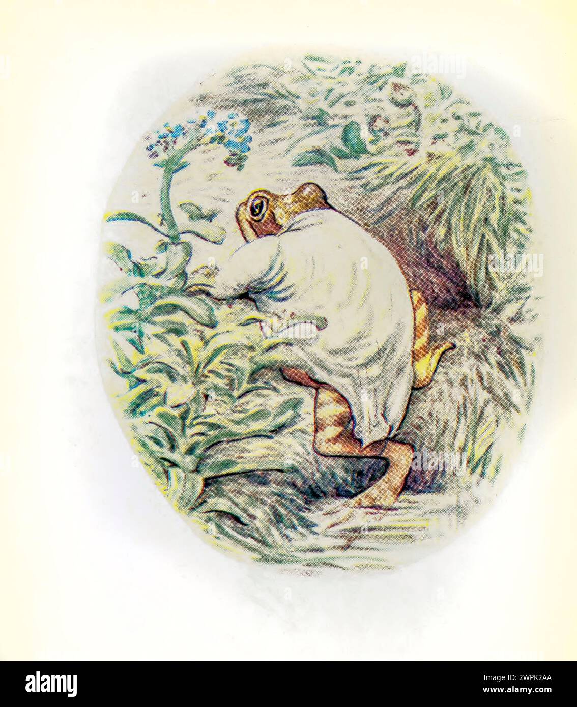 Il racconto di Mr. Jeremy Fisher di Beatrix Potter, The tale of Mr. Jeremy Fisher è un libro per bambini, scritto e illustrato da Beatrix Potter. Fu pubblicato da Frederick Warne & Co. Nel luglio 1906. Jeremy Fisher è una rana che vive in una casa "sciocca" ai margini di uno stagno. Durante un giorno di pioggia, raccoglie vermi per la pesca e parte attraverso lo stagno sulla sua barca con i tappetini per le gile. Ha in programma di invitare i suoi amici a cena se prende più di cinque minuti. Incontra ogni sorta di battute d'arresto per il suo obiettivo, e fugge da una trota grossa che cerca di ingoiarlo. Nuota per la costa, decide lui Foto Stock