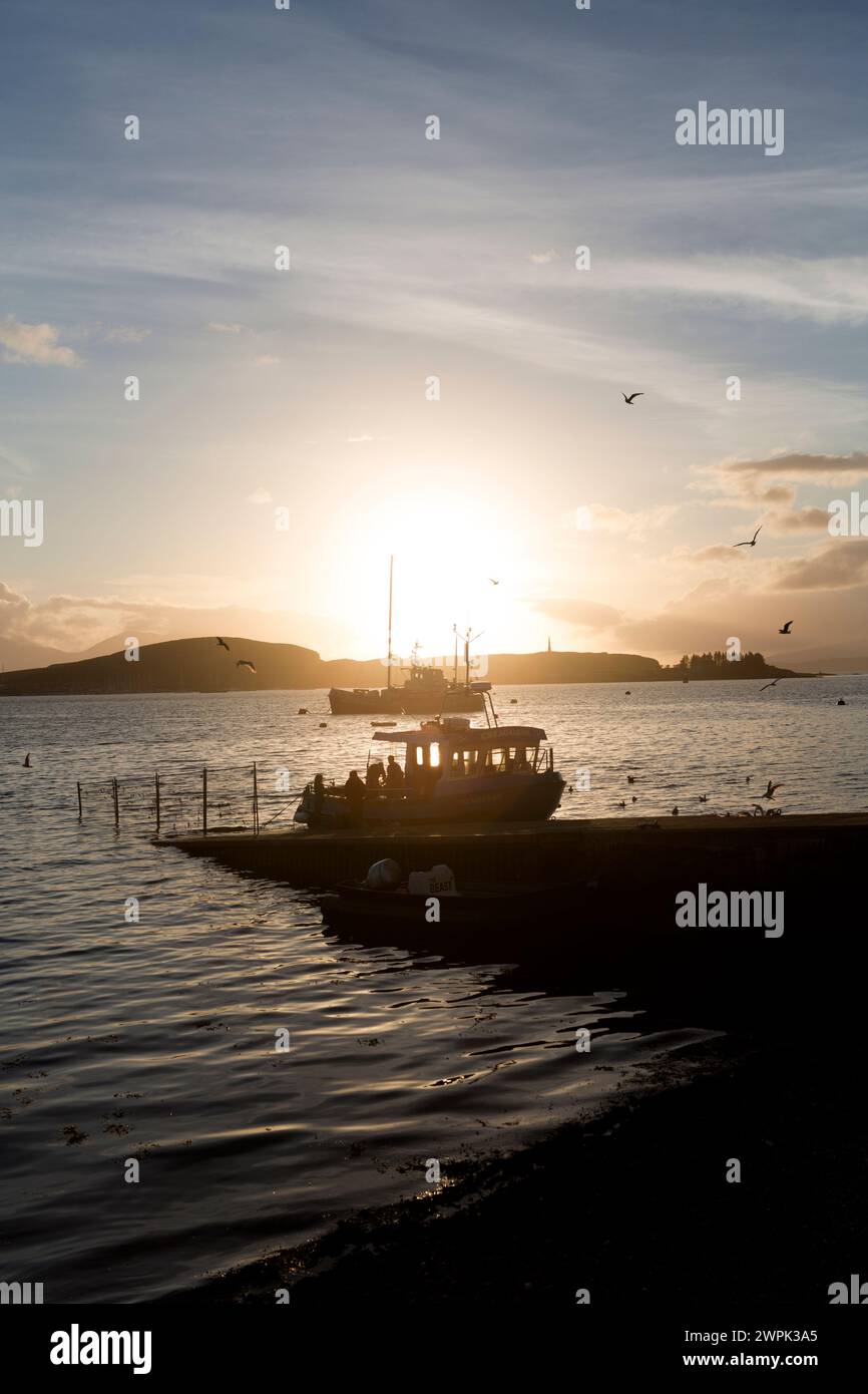 Regno Unito, Scozia, Oban, tramonto sul porto. Foto Stock