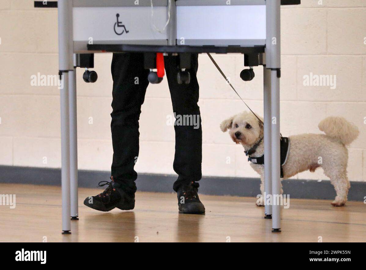 Tim Graham con il suo cane Benji e votando alla Old St Josephs Gym Hall di Dublino, mentre l'Irlanda tiene referendum sulle modifiche proposte alla formulazione della Costituzione relative alle aree di famiglia e cura. L'emendamento sulla famiglia propone di estendere il significato di famiglia al di là di quello definito dal matrimonio e di includere quelli basati su relazioni "durature”. L'emendamento Care propone di eliminare i riferimenti ai ruoli e ai doveri di una donna in casa e di sostituirlo con un nuovo articolo che riconosce gli assistenti familiari. Data foto: Venerdì 8 marzo 2024. Foto Stock