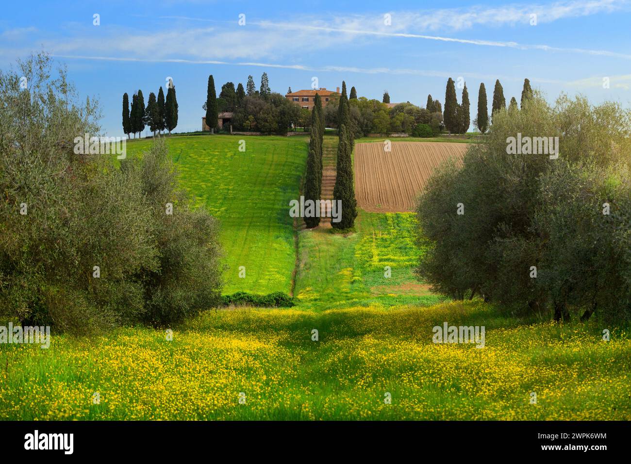 Paesaggio toscano/paesaggio della Toscana Italia Foto Stock