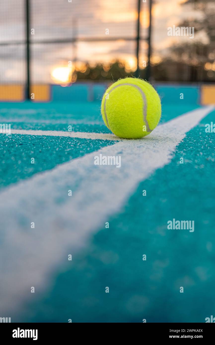 palla sulla linea di base di un campo da paddle tennis, racchetta sportiva Foto Stock
