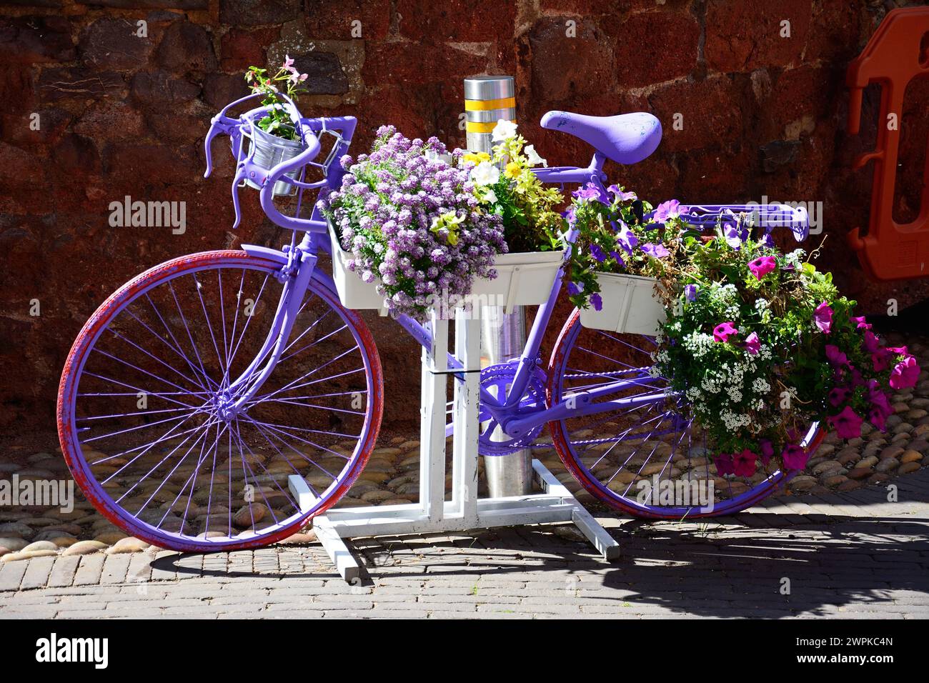 Una bicicletta viola con graziosi fiori estivi lungo la strada egittina nel centro della città, Exeter, Devon, Regno Unito, Europa. Foto Stock